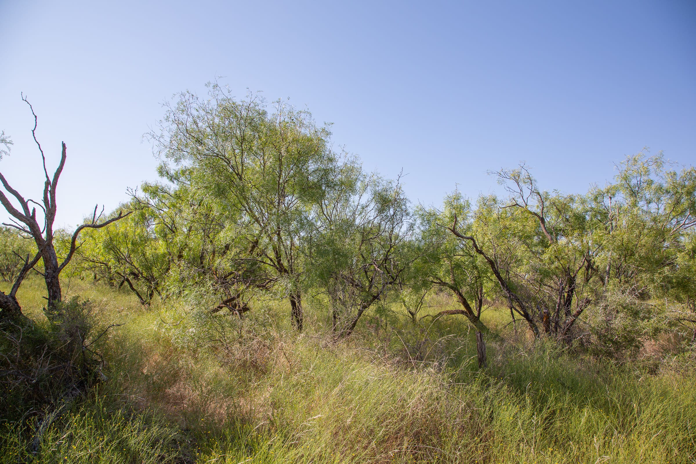 Hunter’s Ranch Tract 14 photo 10