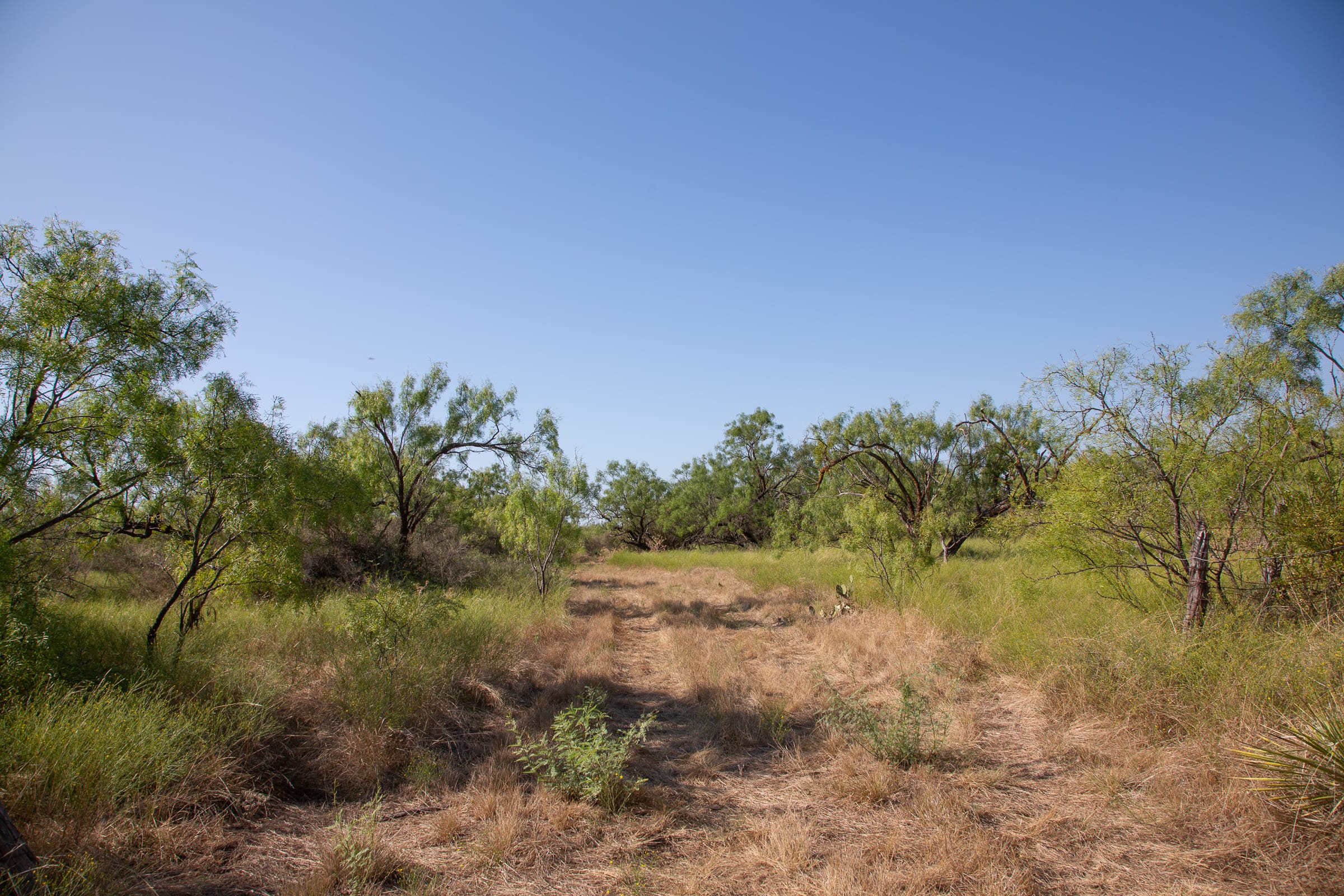 Hunter’s Ranch Tract 14 photo 11