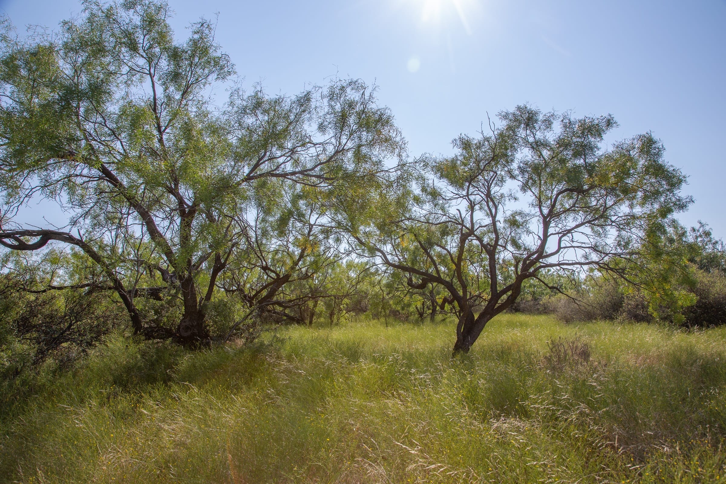 Hunter’s Ranch Tract 14 photo 12