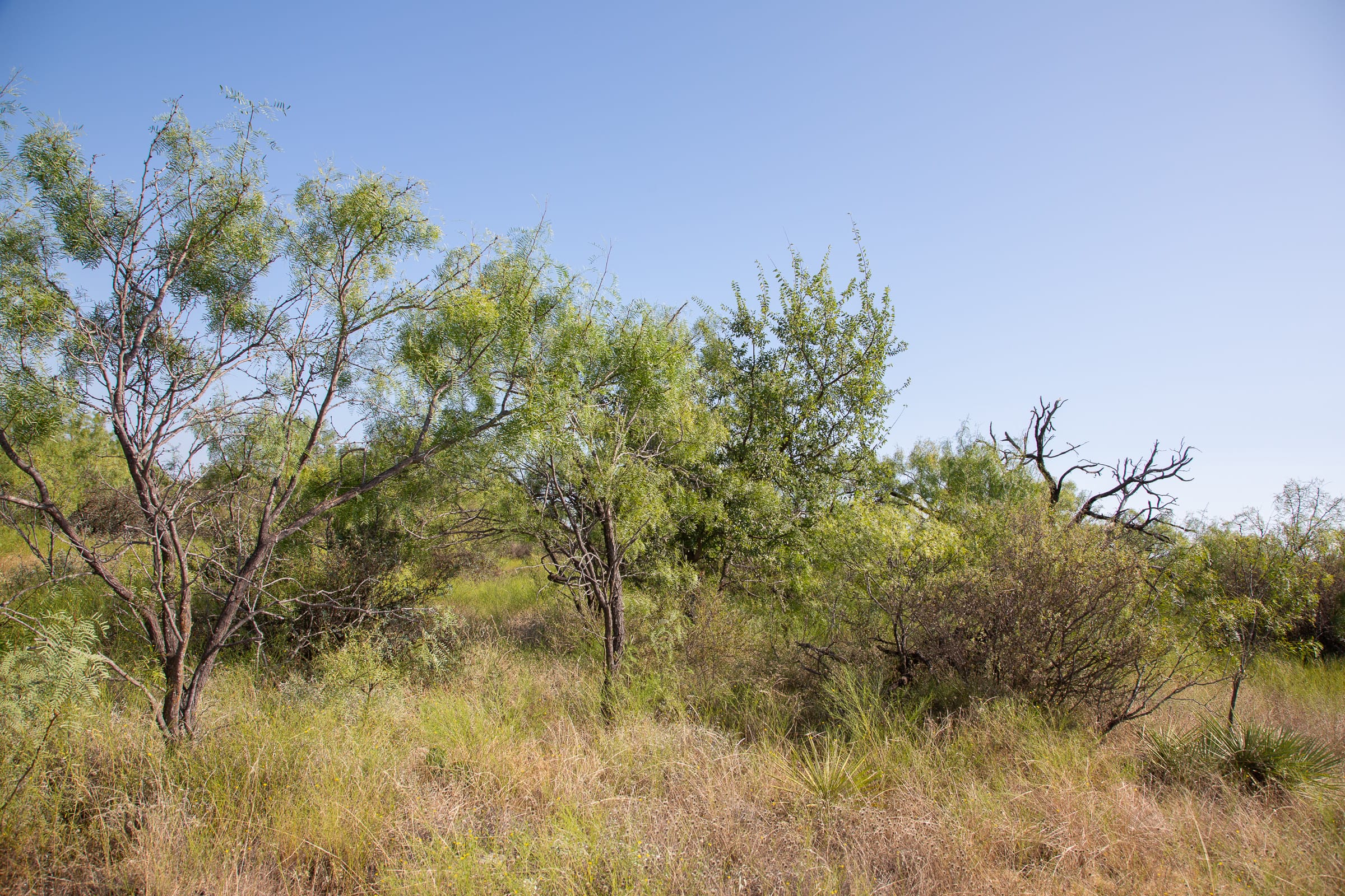 Hunter’s Ranch Tract 14 photo 13