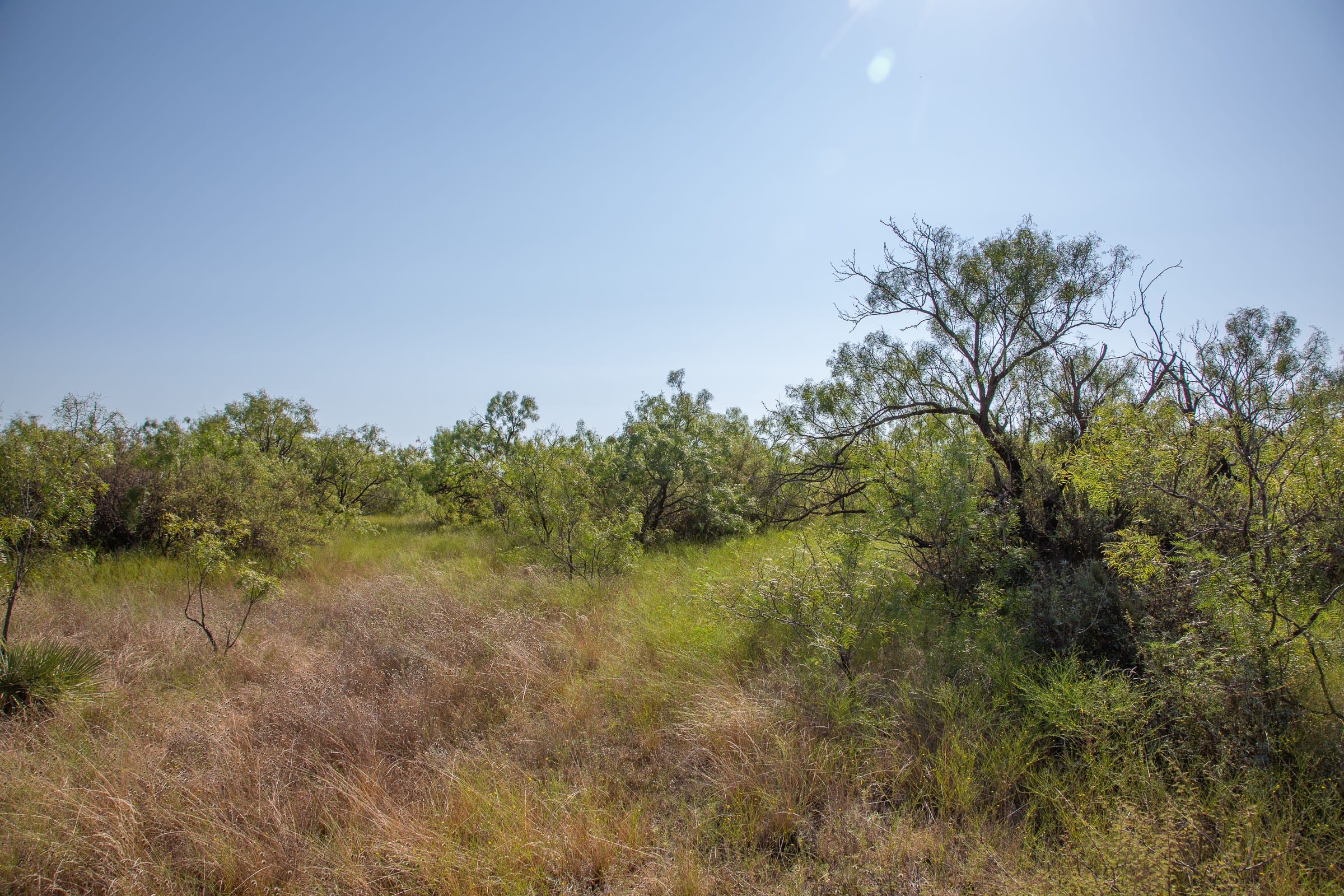 Hunter’s Ranch Tract 14 photo 14