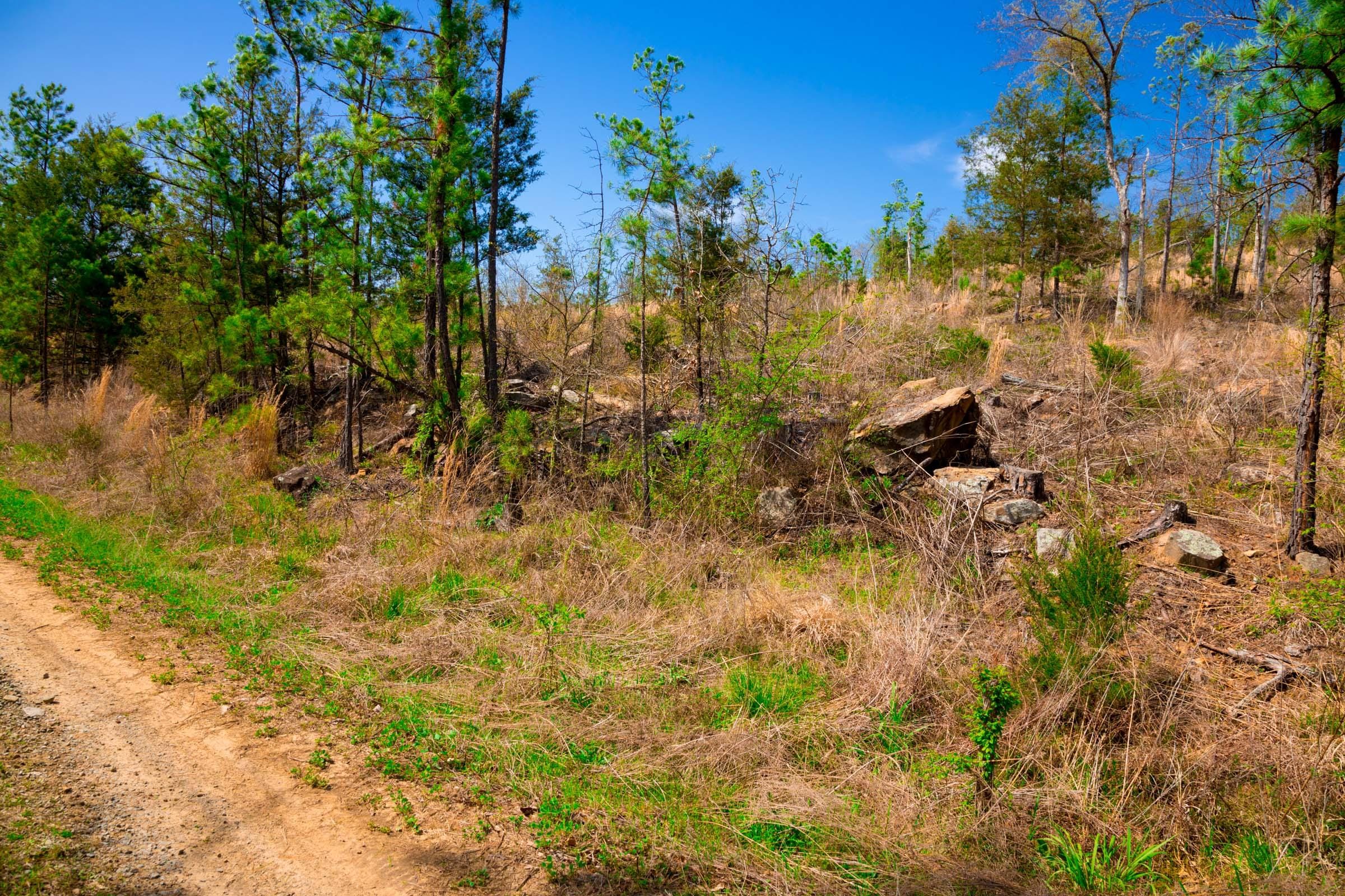 Stone Creek Phase II Tract 228 photo 2