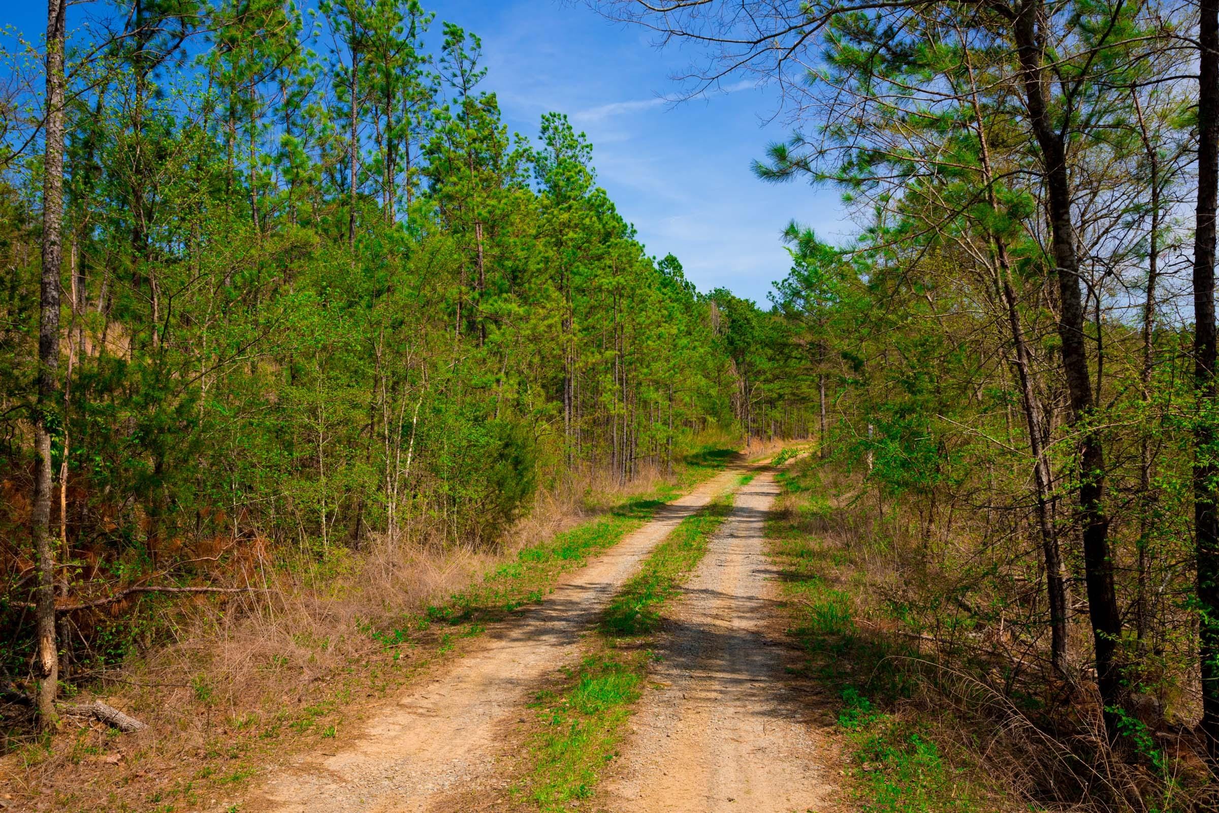 Stone Creek Phase II Tract 228 photo 1