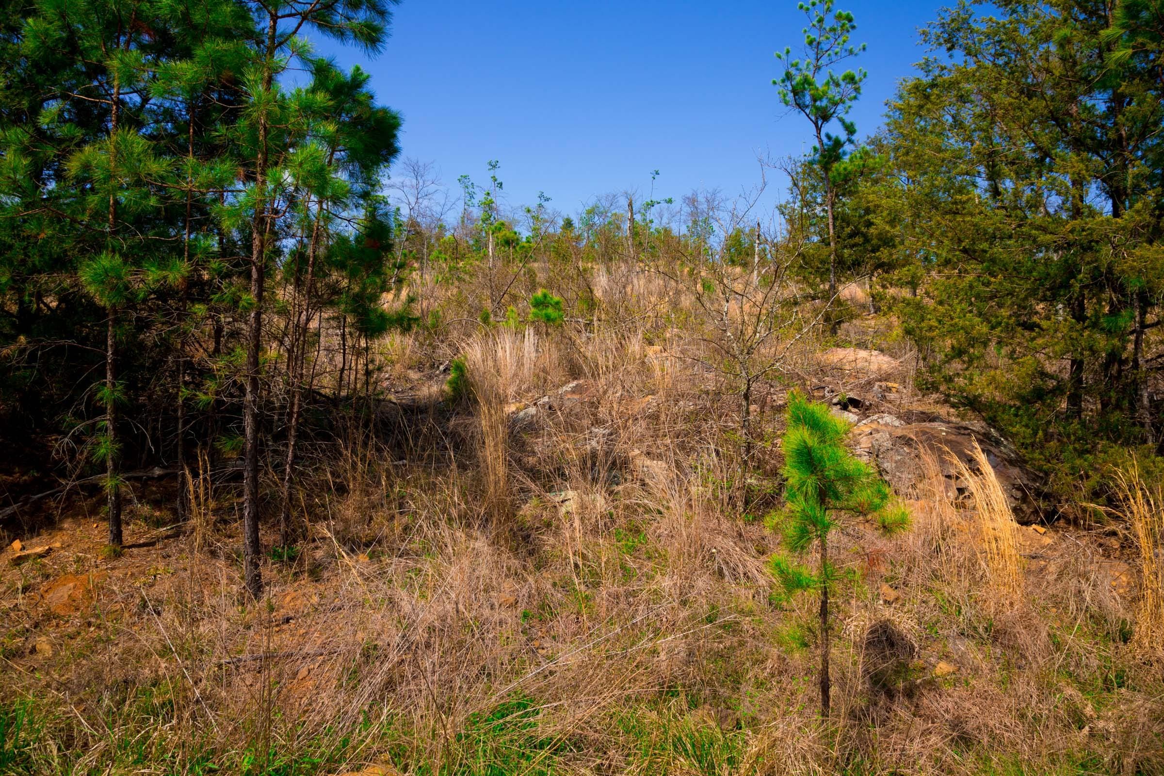 Stone Creek Phase II Tract 228 photo 3