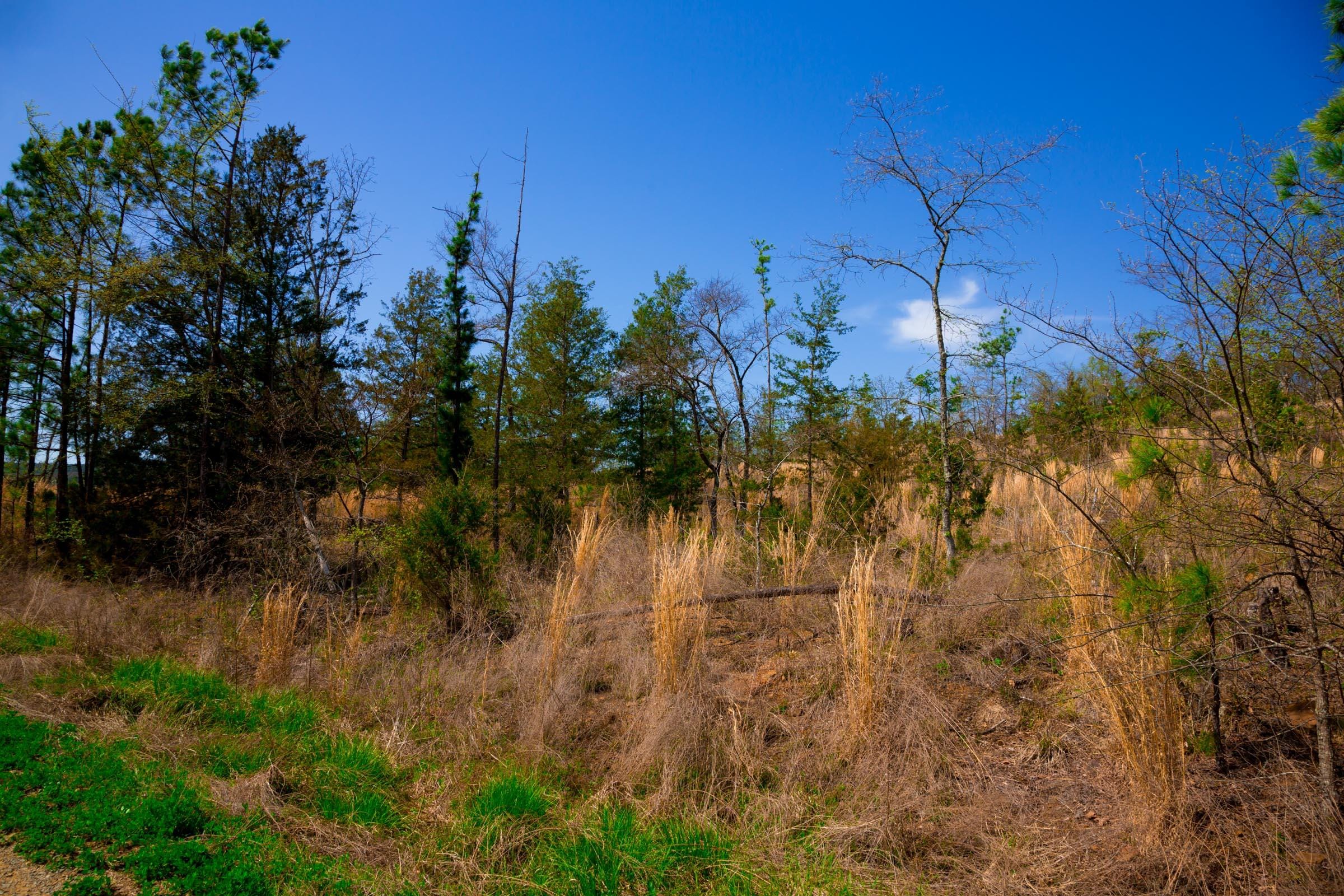 Stone Creek Phase II Tract 228 photo 4