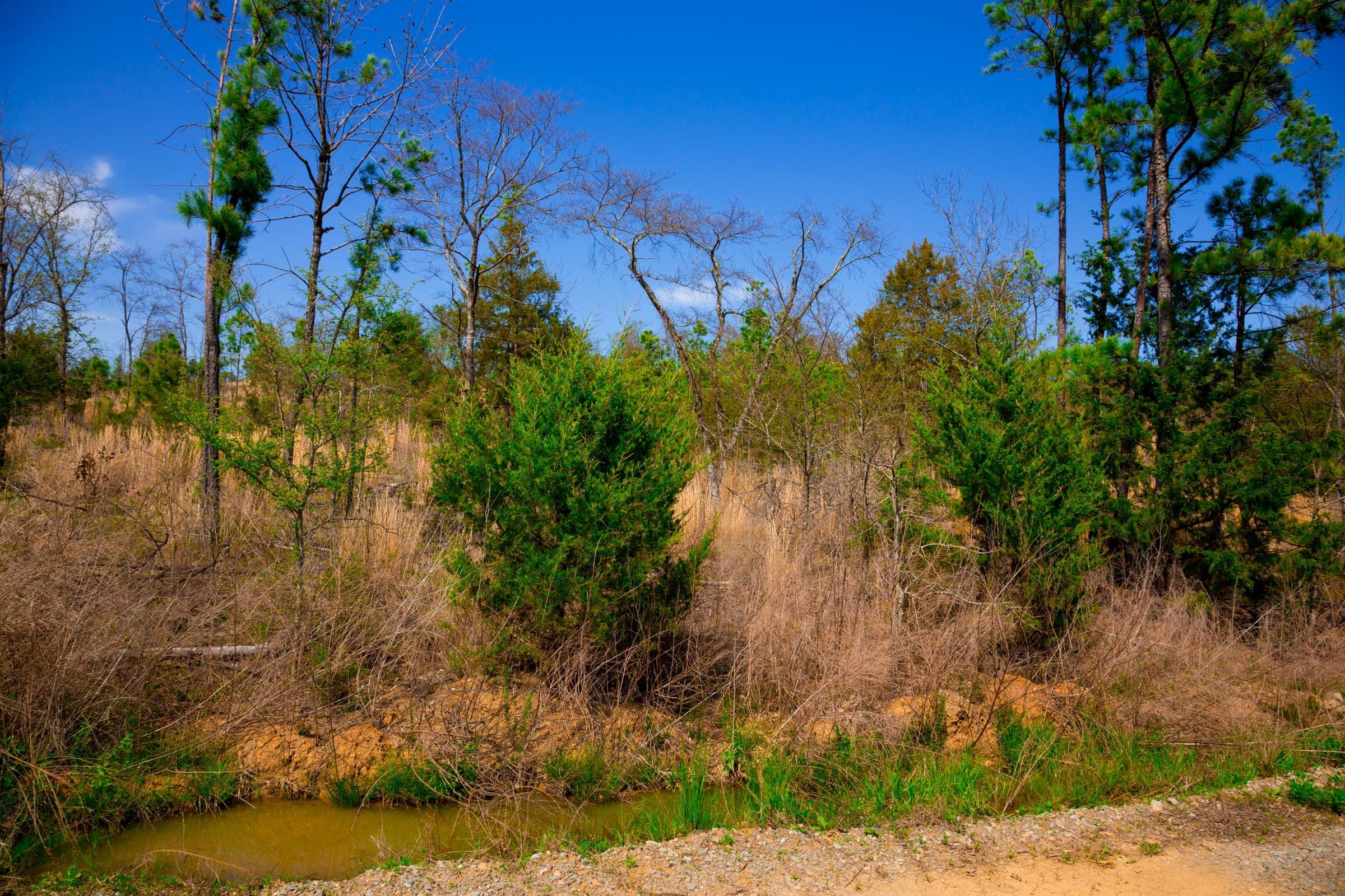 Stone Creek Phase II Tract 228 photo 5