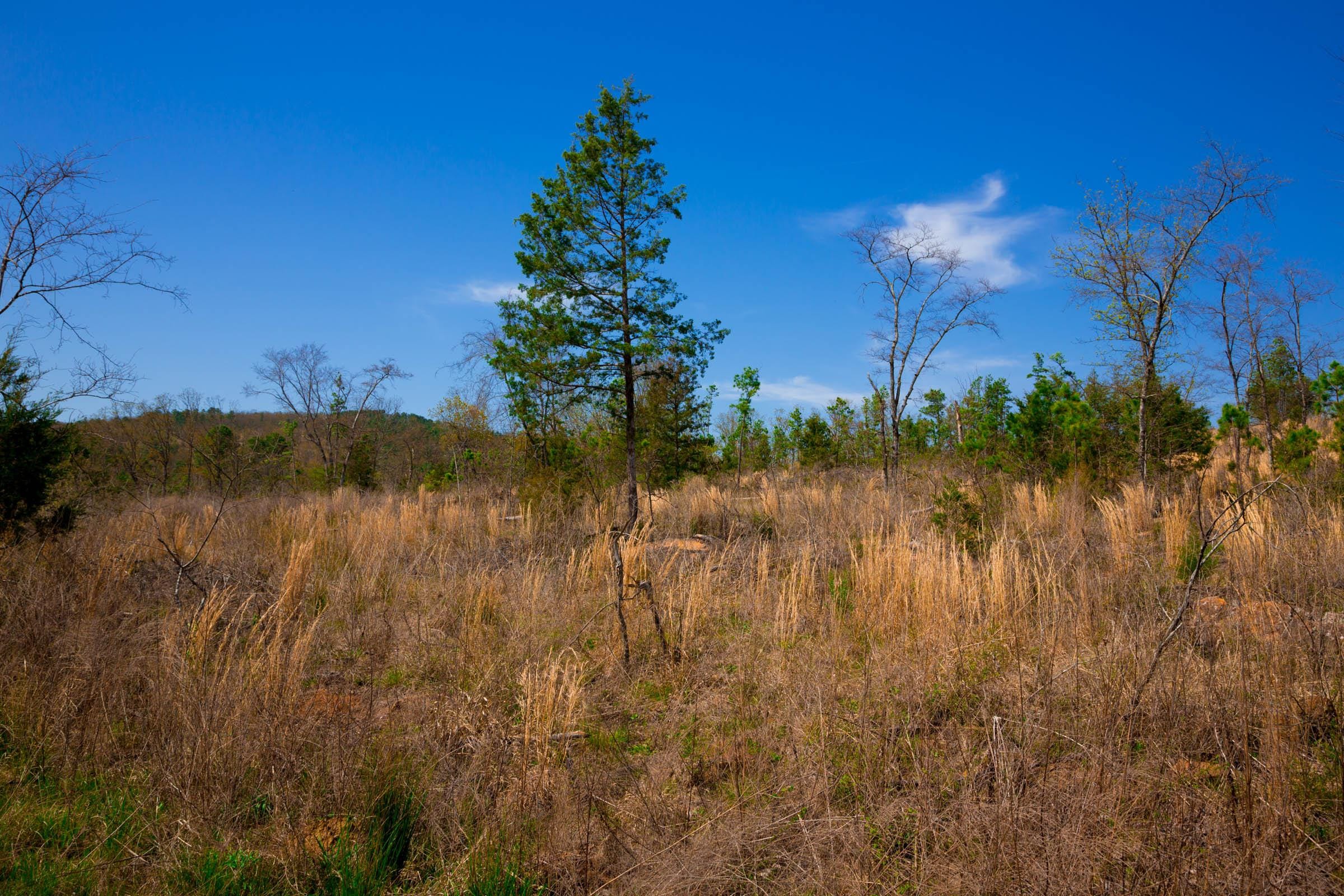 Stone Creek Phase II Tract 228 photo 7