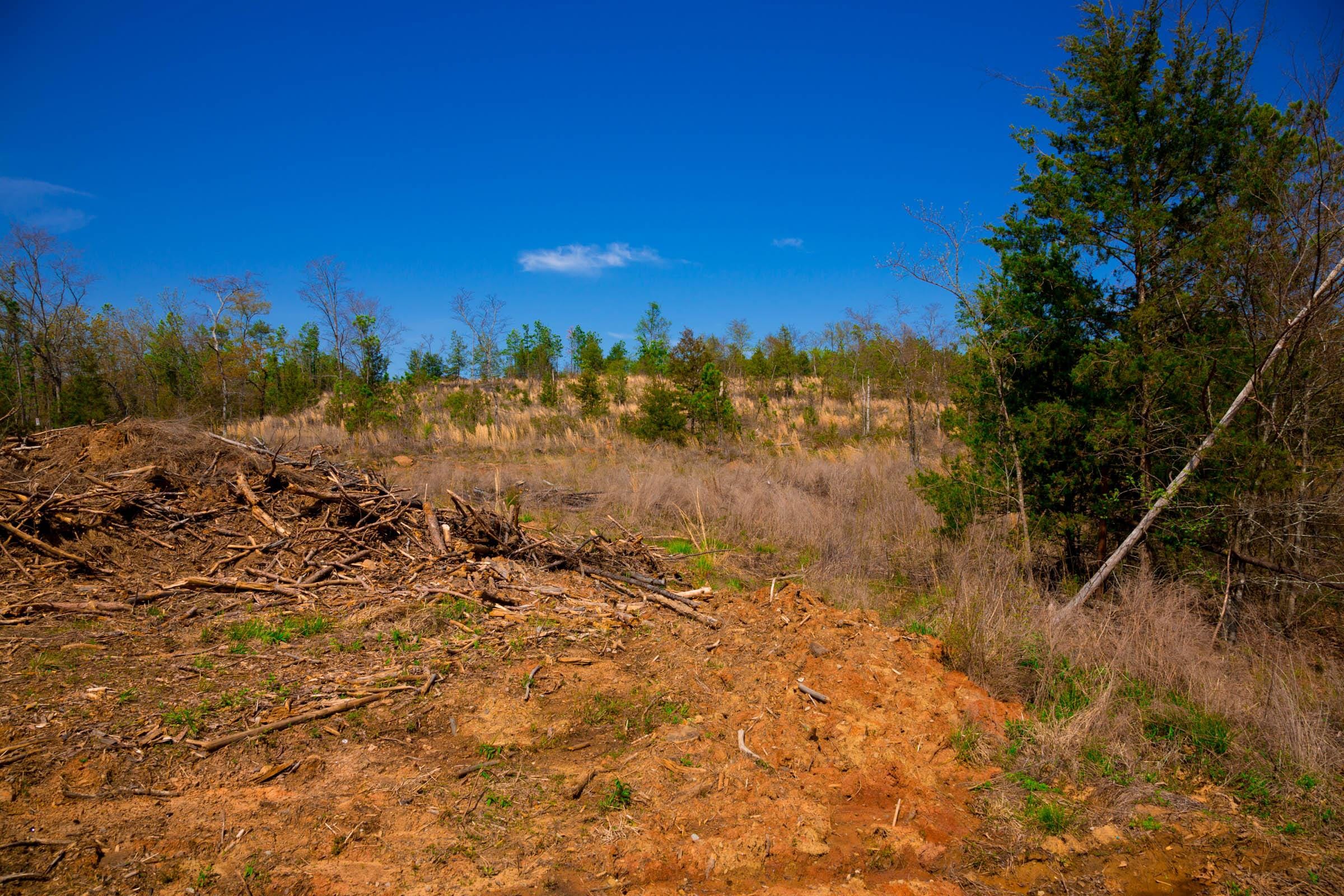 Stone Creek Phase II Tract 228 photo 9
