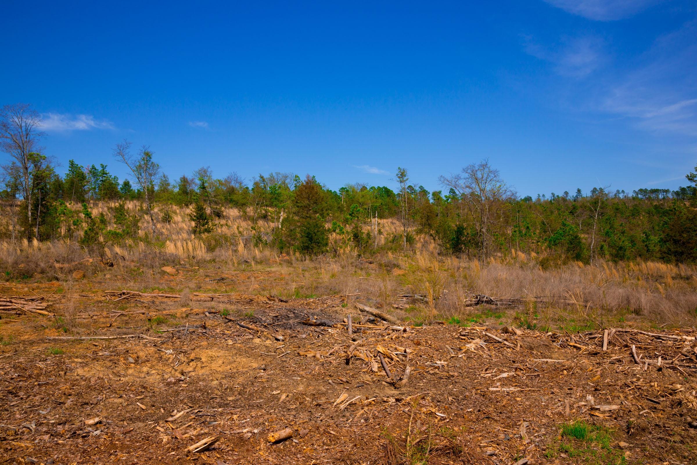 Stone Creek Phase II Tract 228 photo 10