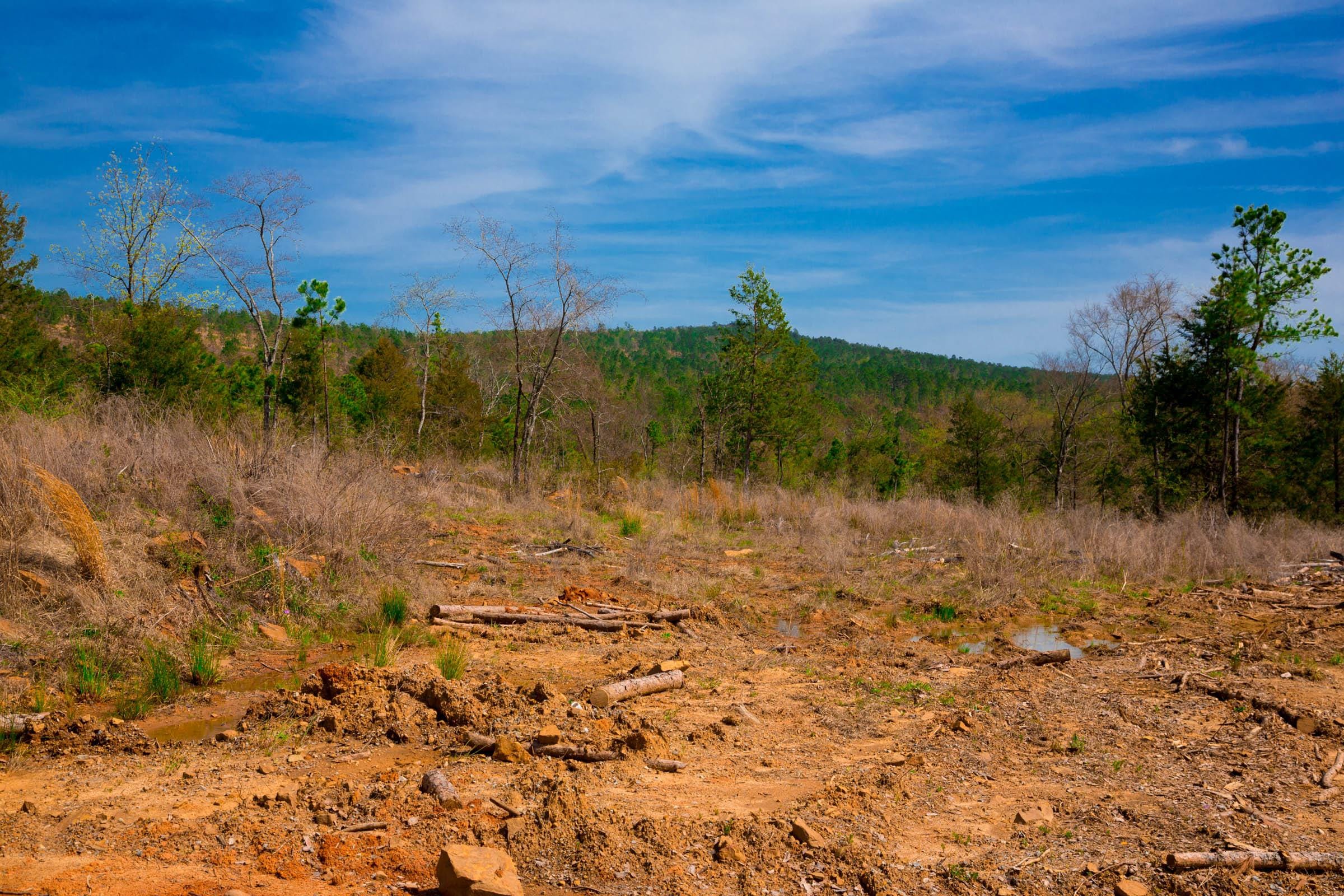 Stone Creek Phase II Tract 228 photo 11