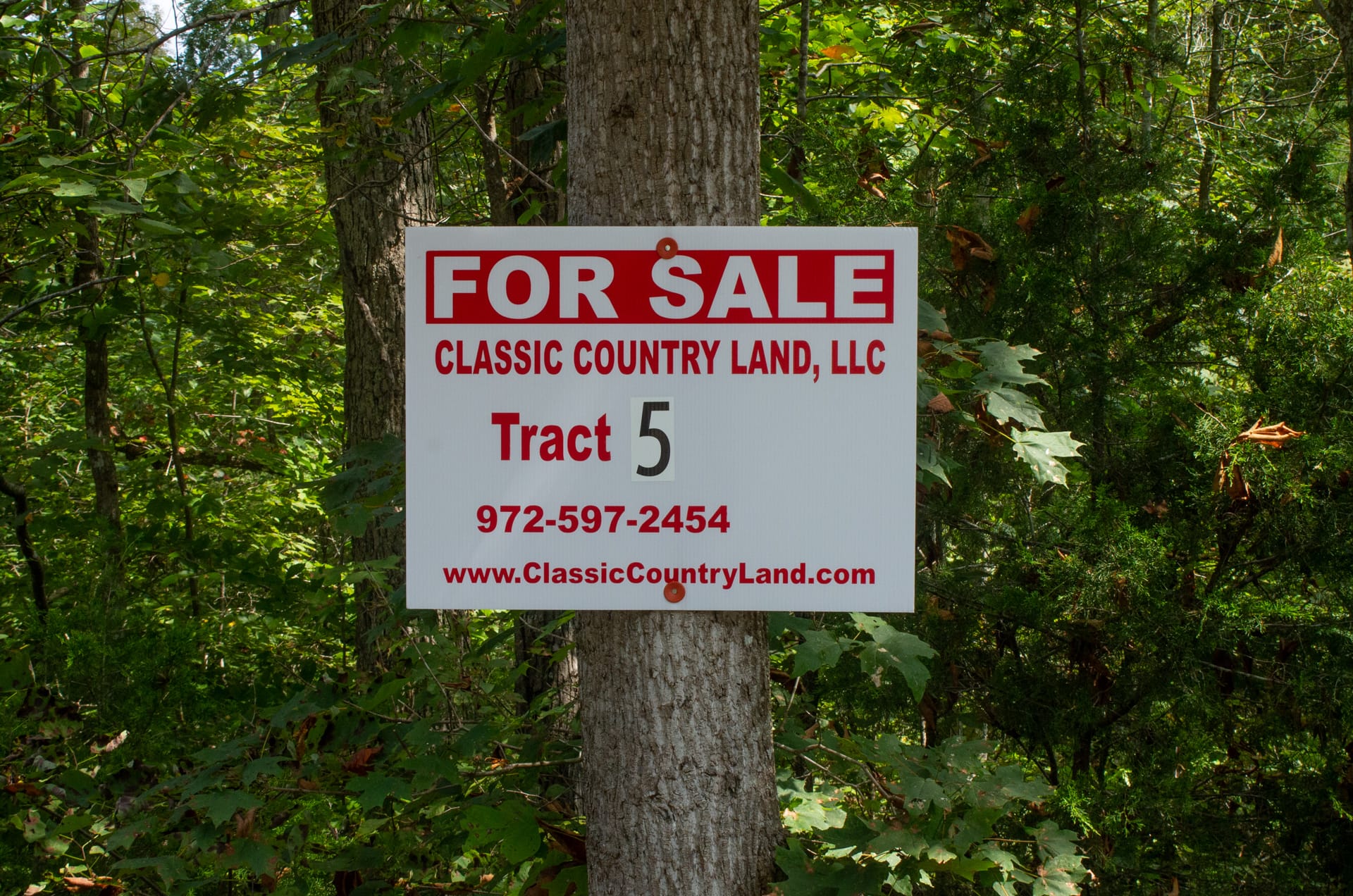 Bluegrass Ridge Tract 5 photo 1