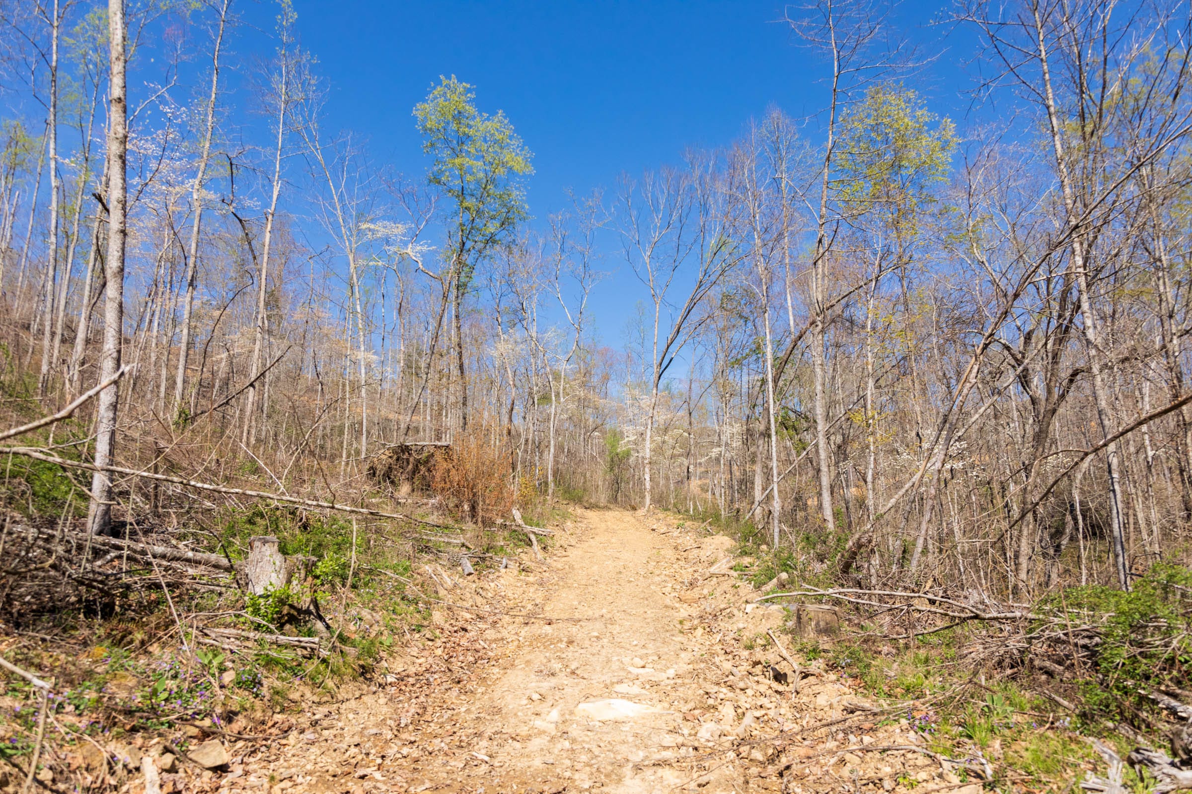 Creek Hollow Phase I Tract 47 photo 1