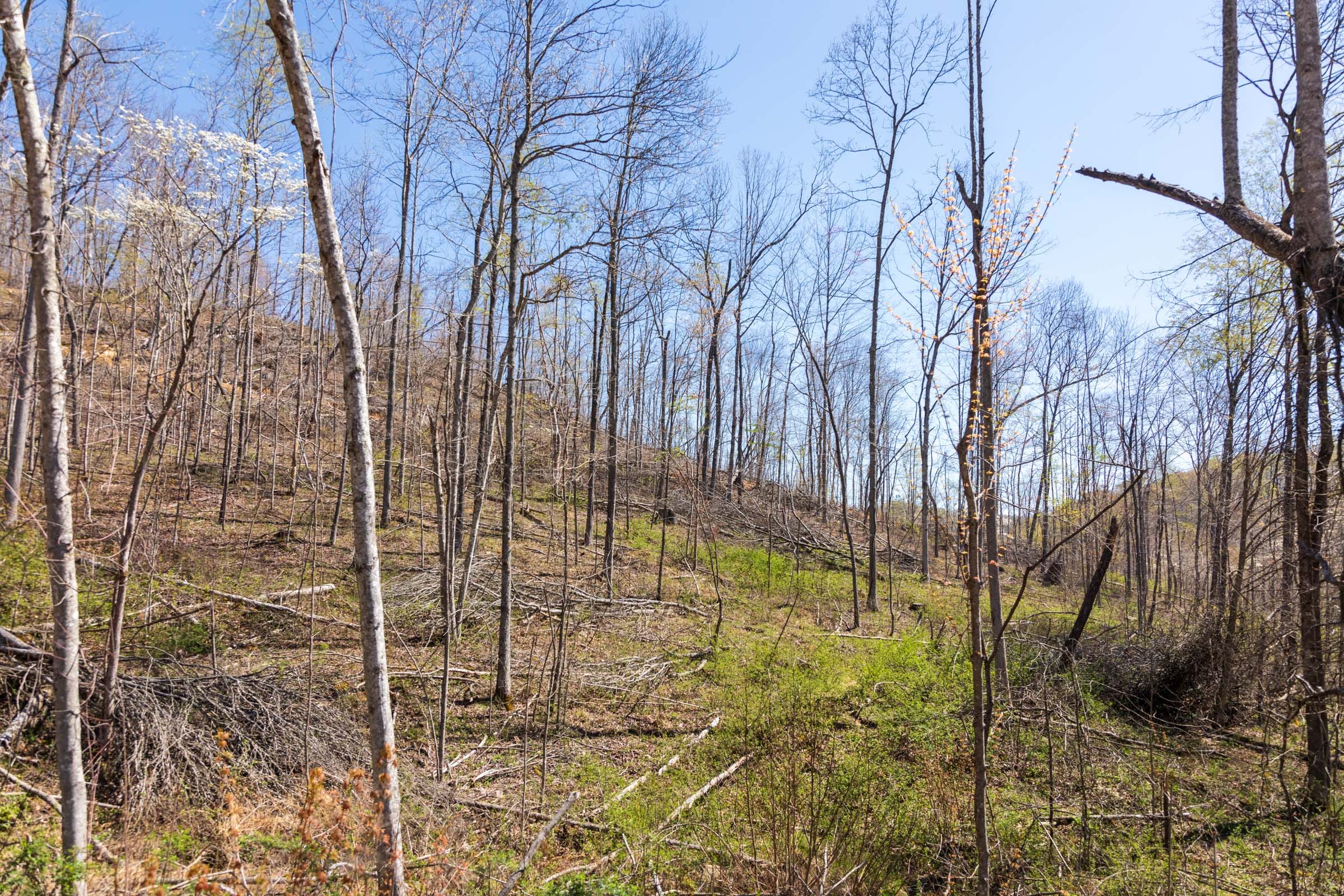 Creek Hollow Phase I Tract 47 photo 4