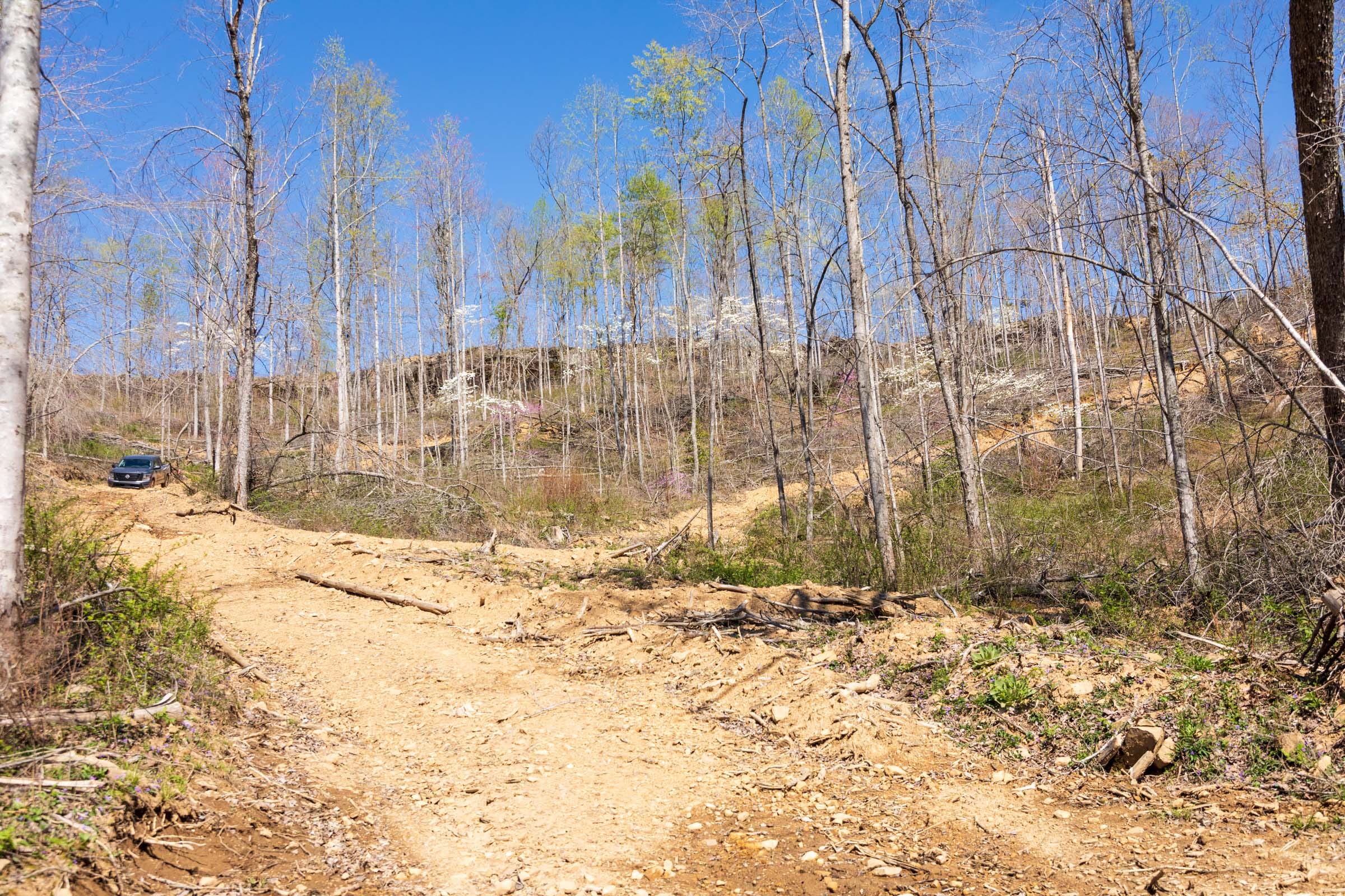 Creek Hollow Phase I Tract 47 photo 5