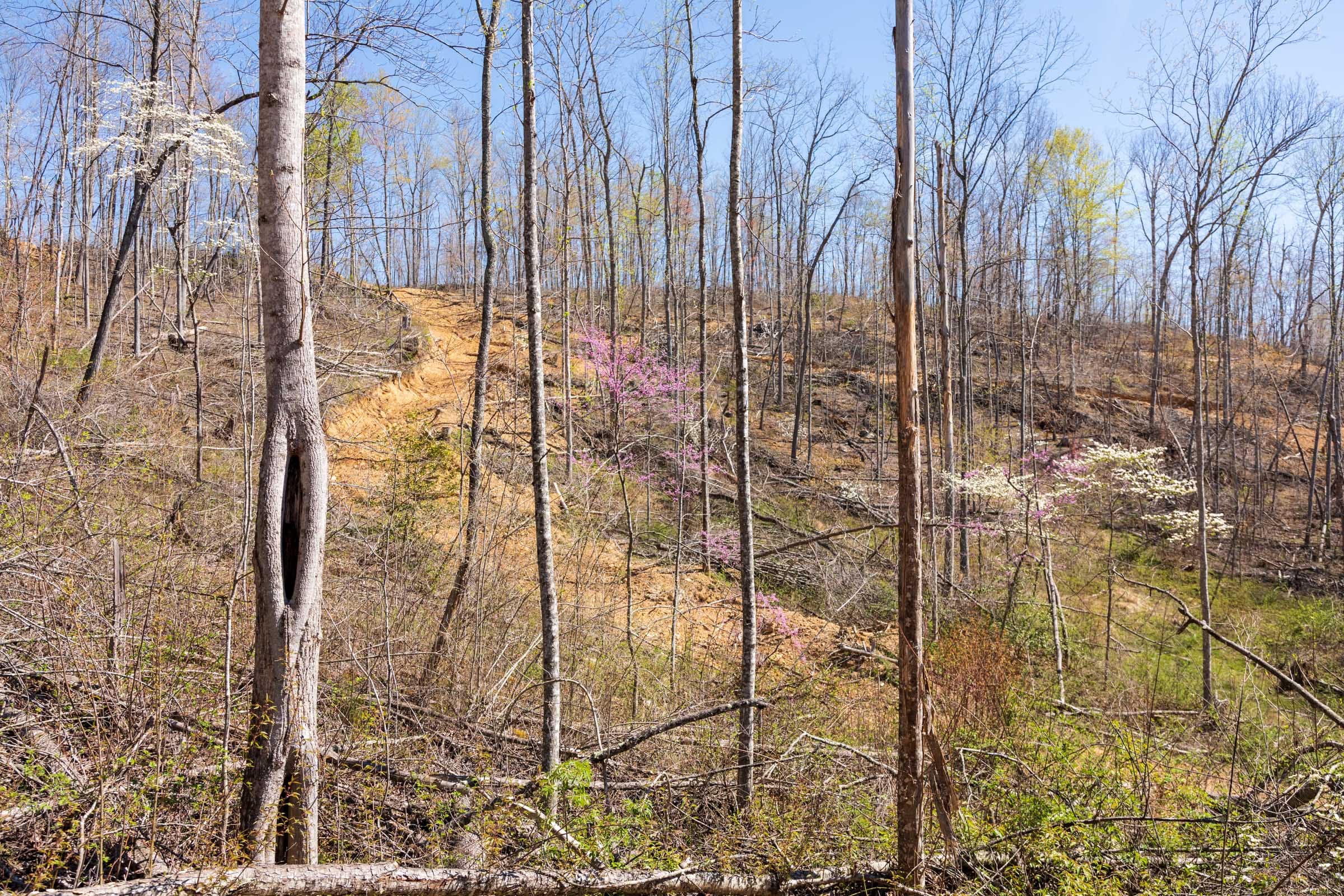 Creek Hollow Phase I Tract 47 photo 8