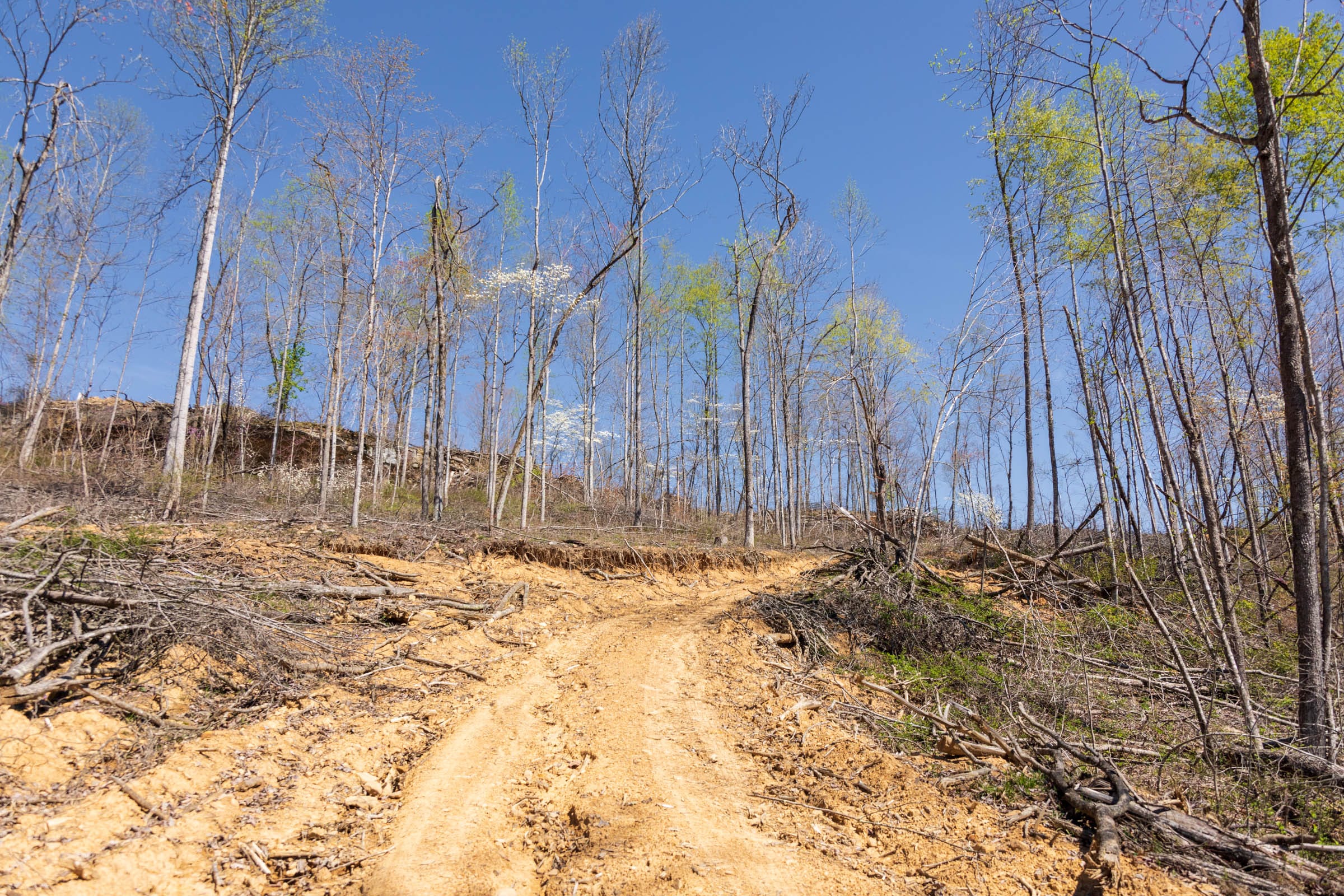 Creek Hollow Phase I Tract 47 photo 3