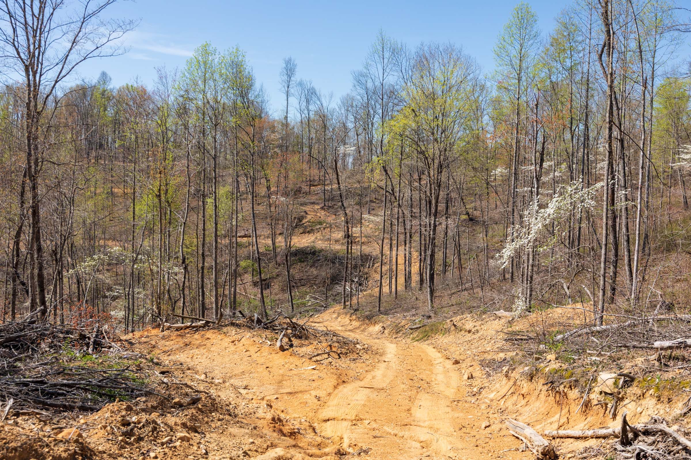 Creek Hollow Phase I Tract 47 photo 9
