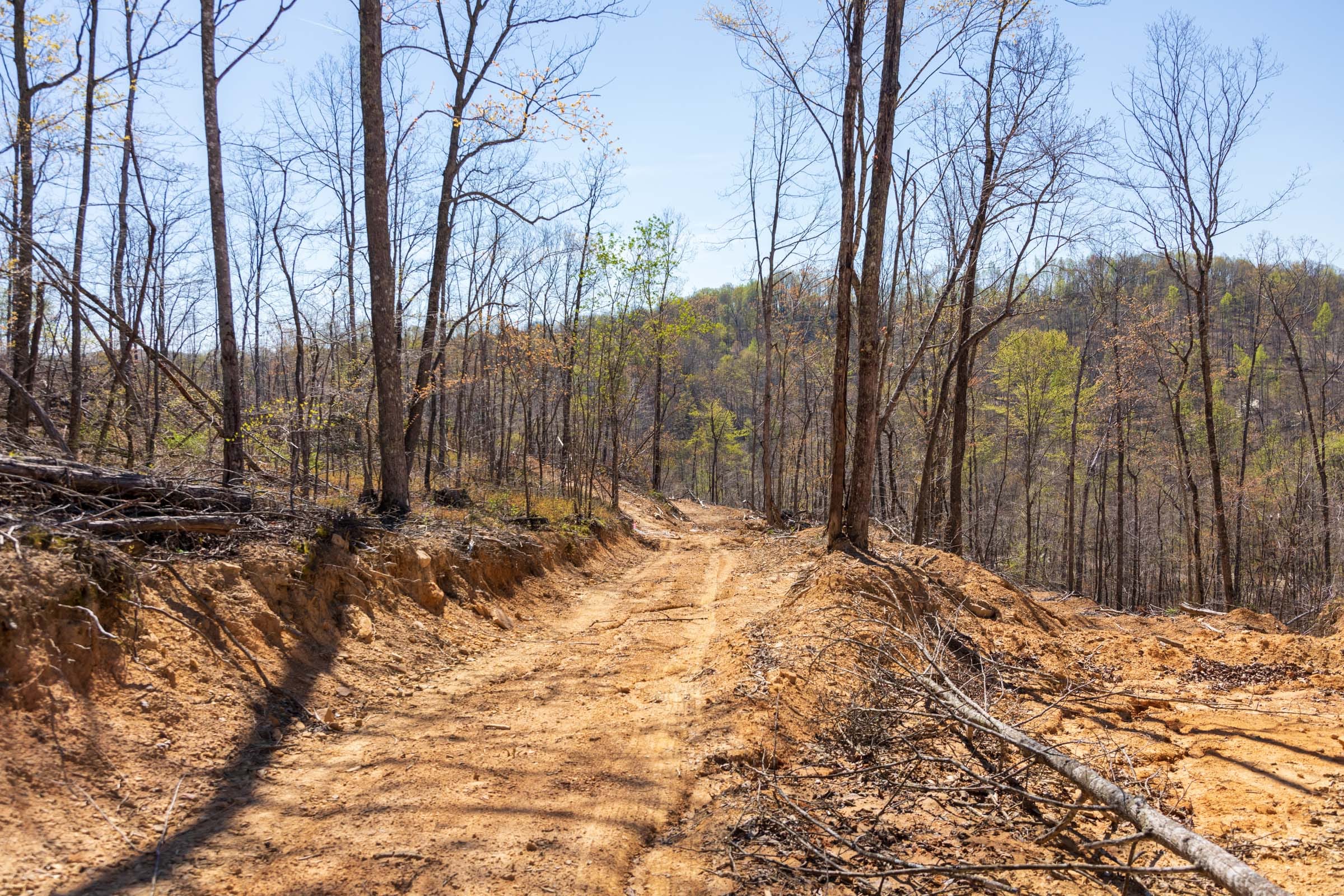Creek Hollow Phase I Tract 47 photo 11