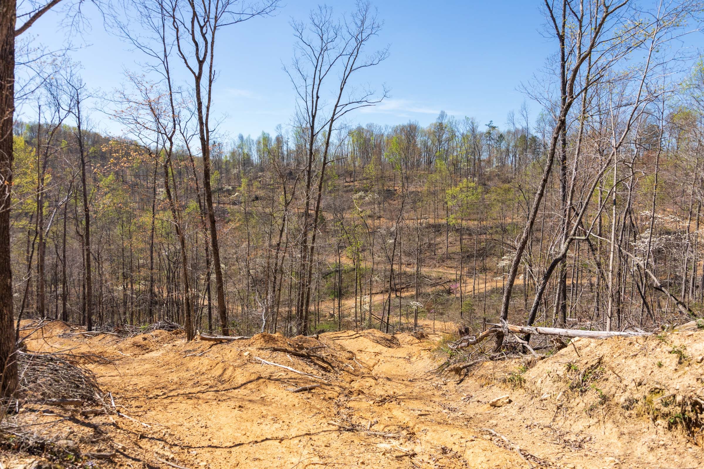 Creek Hollow Phase I Tract 47 photo 10