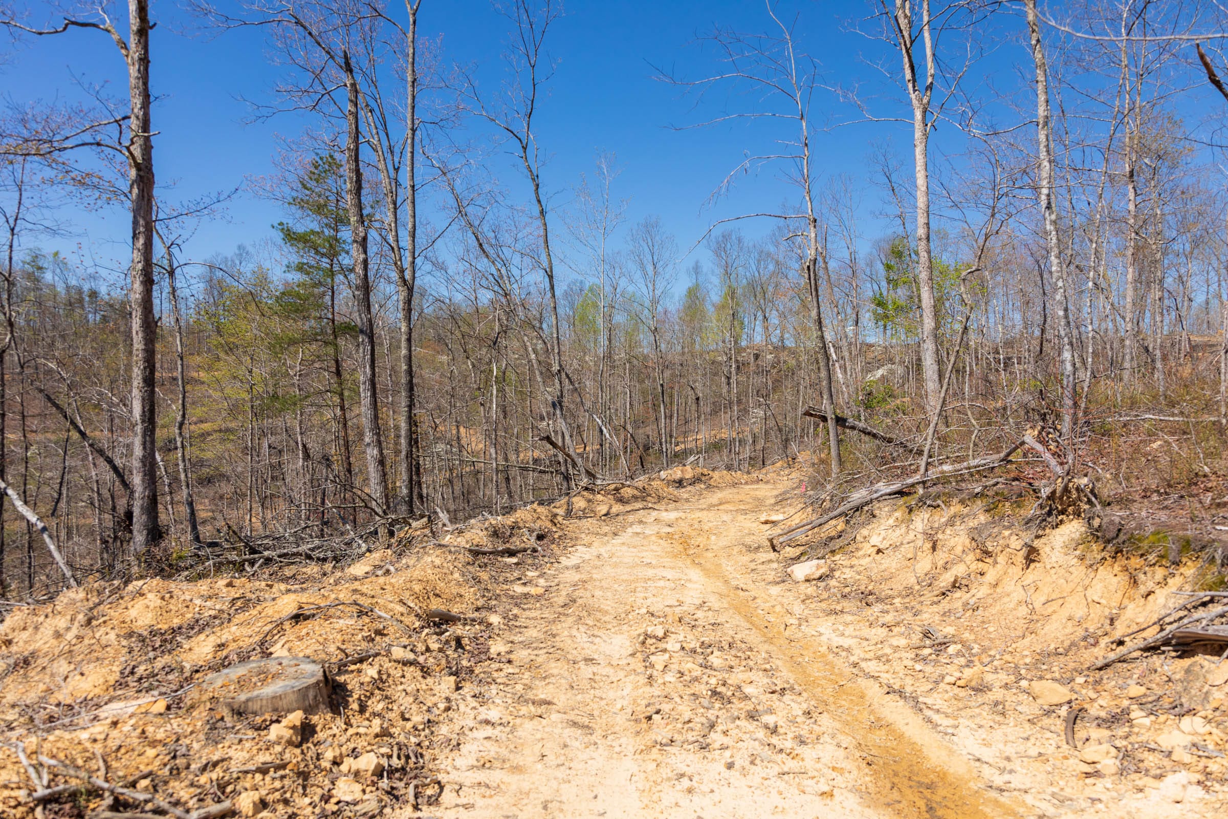 Creek Hollow Phase I Tract 47 photo 7