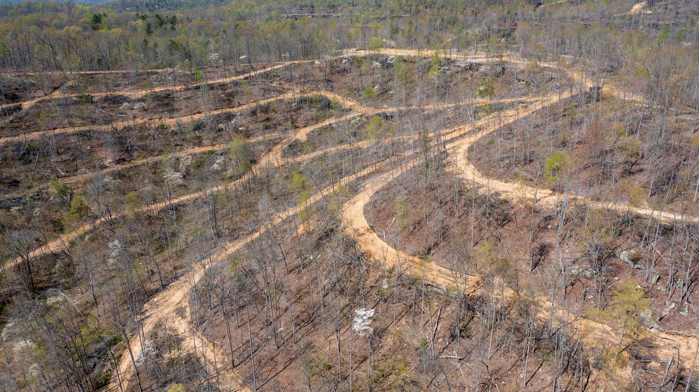 Creek Hollow Phase I Tract 47 photo 12