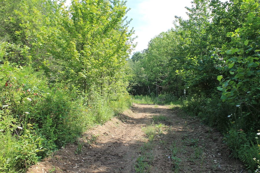 Cumberland Ridge Ranch Tract 11 photo 2