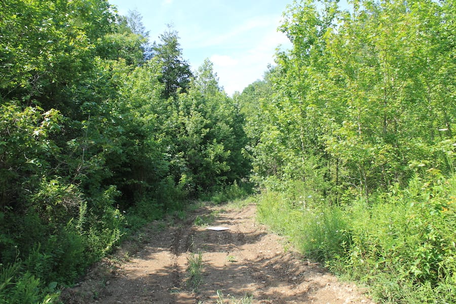Cumberland Ridge Ranch Tract 11 photo 11