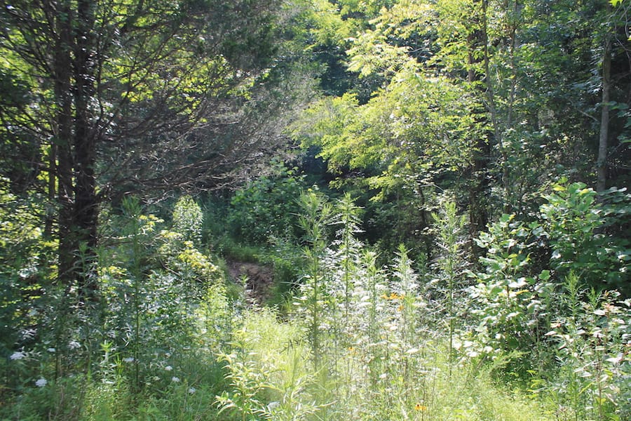 Cumberland Ridge Ranch Tract 11 photo 12