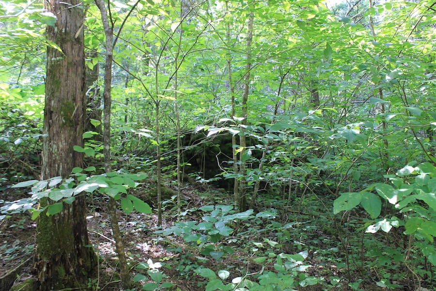 Cumberland Ridge Ranch Tract 11 photo 16