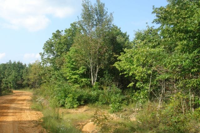 Sugartree Falls Tract 14 photo 1