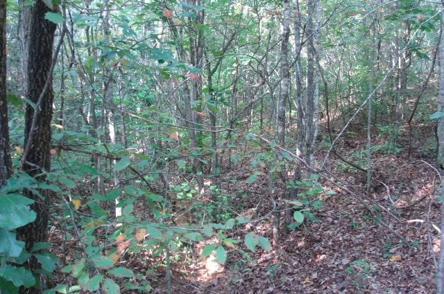 Sugartree Falls Tract 14 photo 4