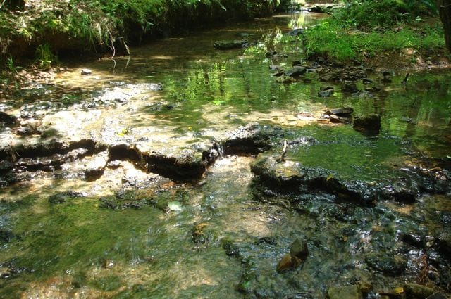 Sugartree Falls Tract 14 photo 6