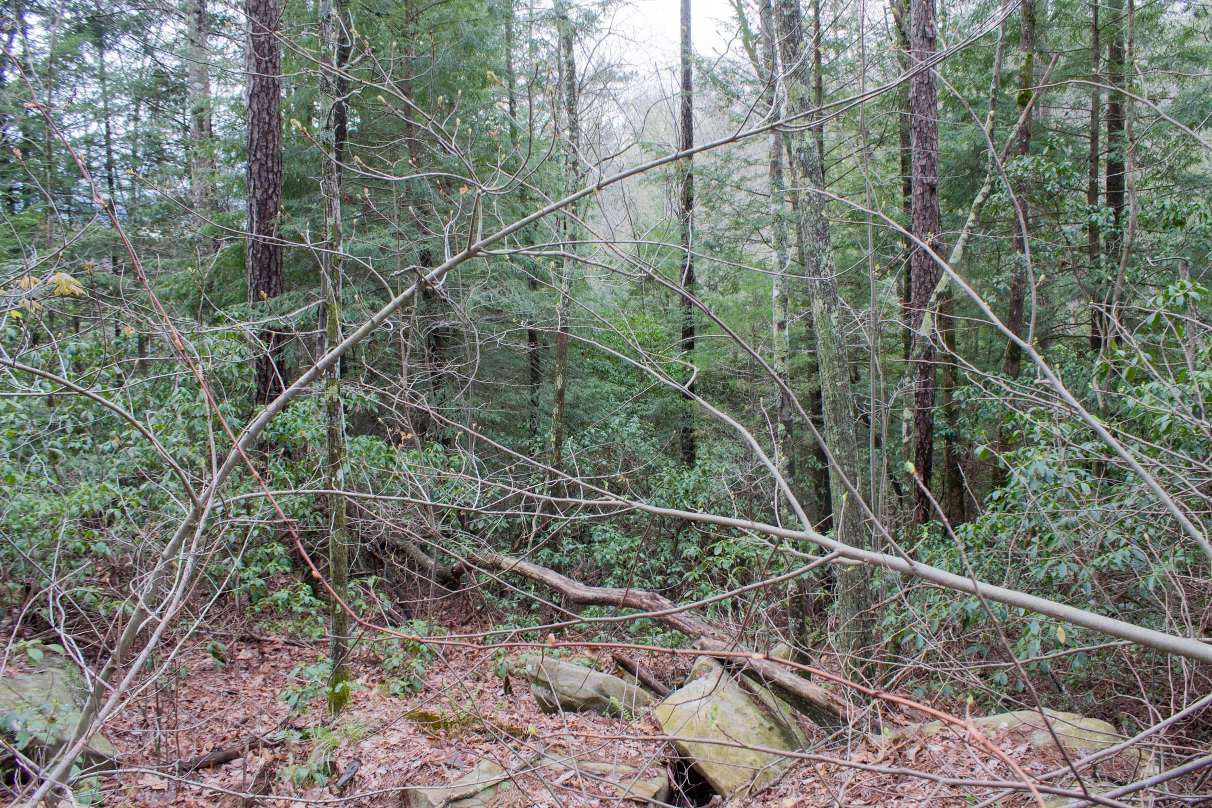 Hidden Hills Tract 16 photo 3