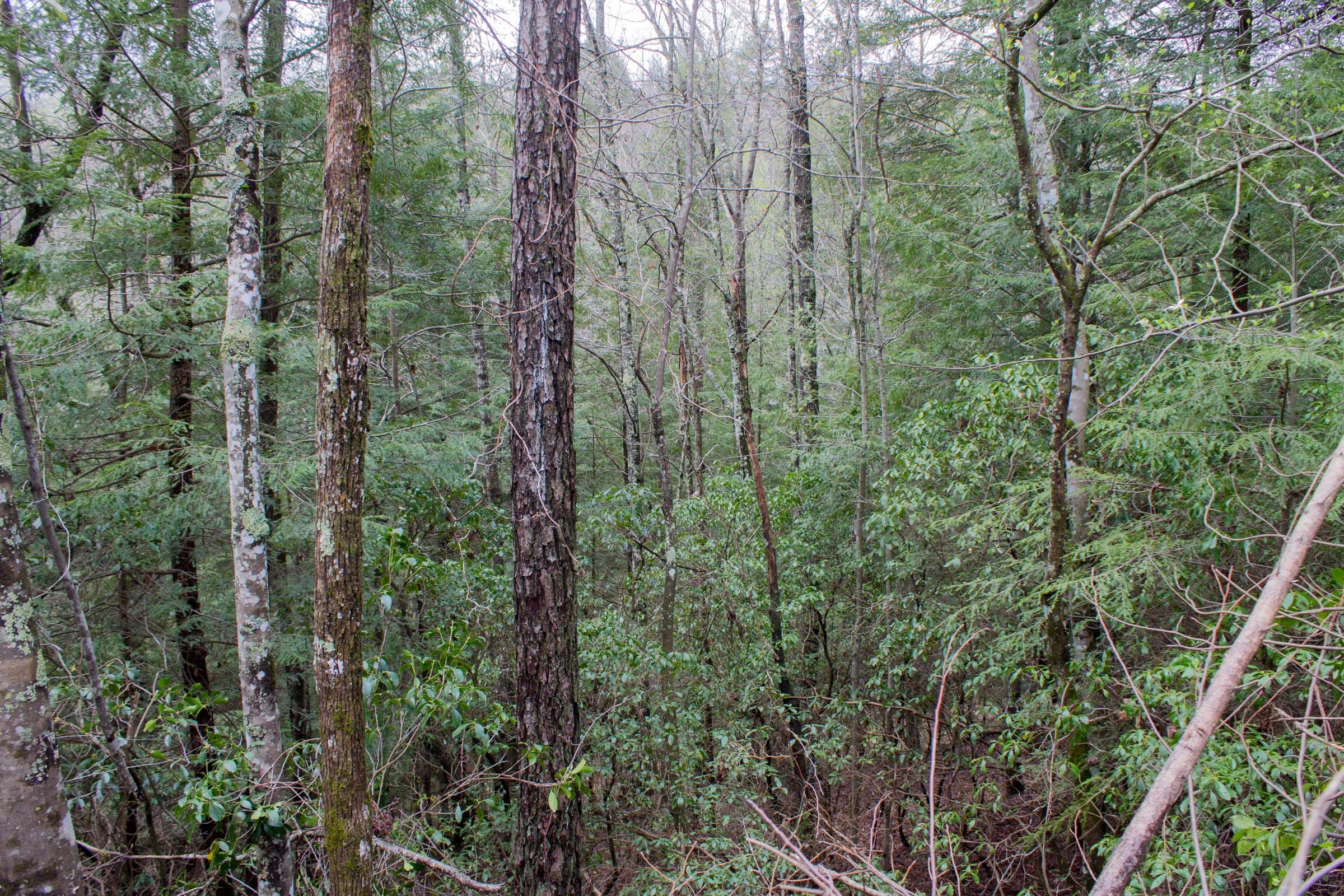 Hidden Hills Tract 16 photo 5