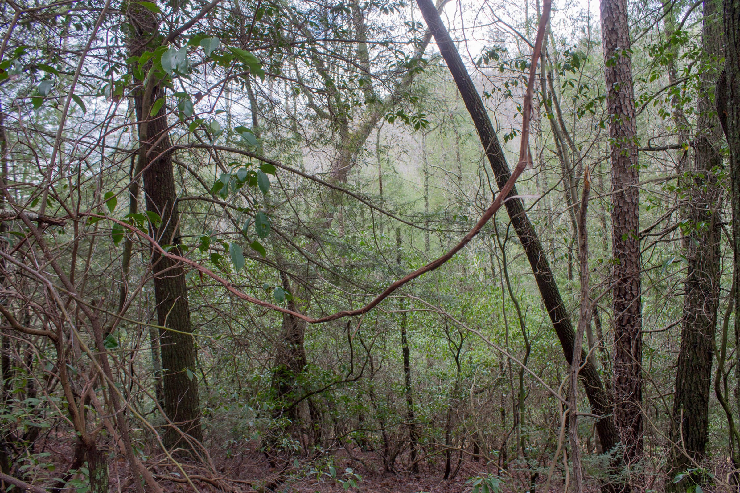 Hidden Hills Tract 16 photo 9