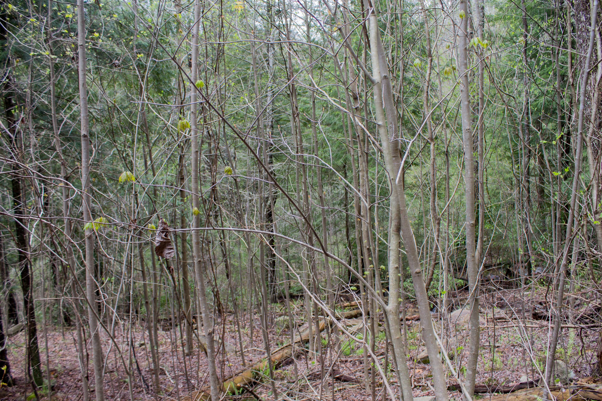 Hidden Hills Tract 15 photo 1