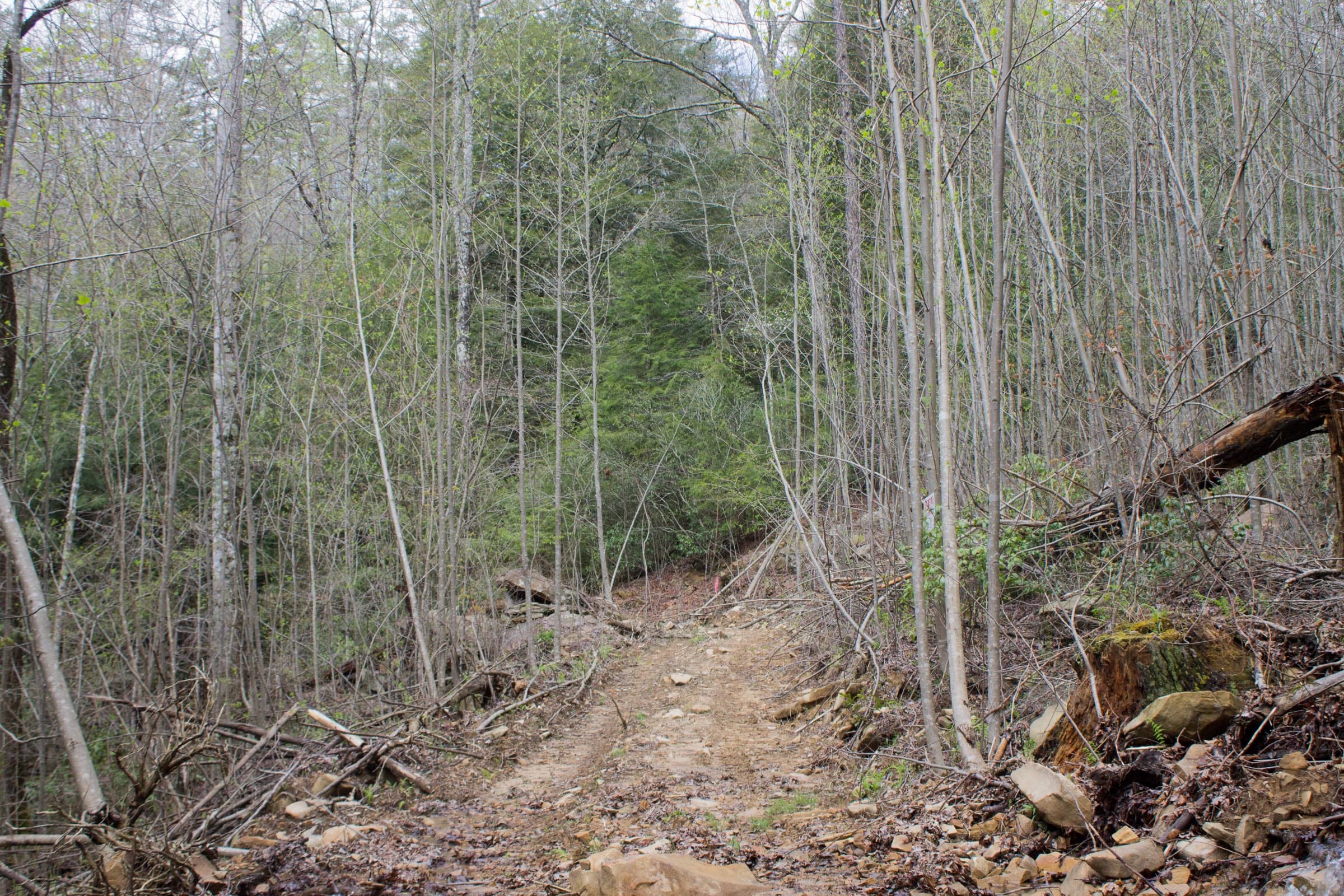 Hidden Hills Tract 15 photo 2