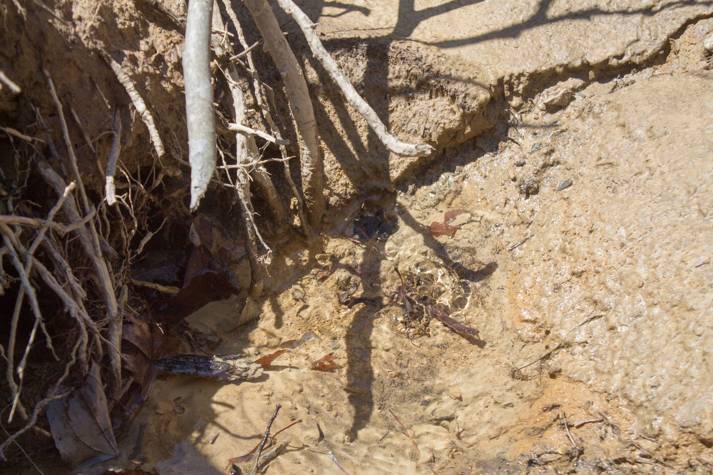Hidden Hills Tract 15 photo 3