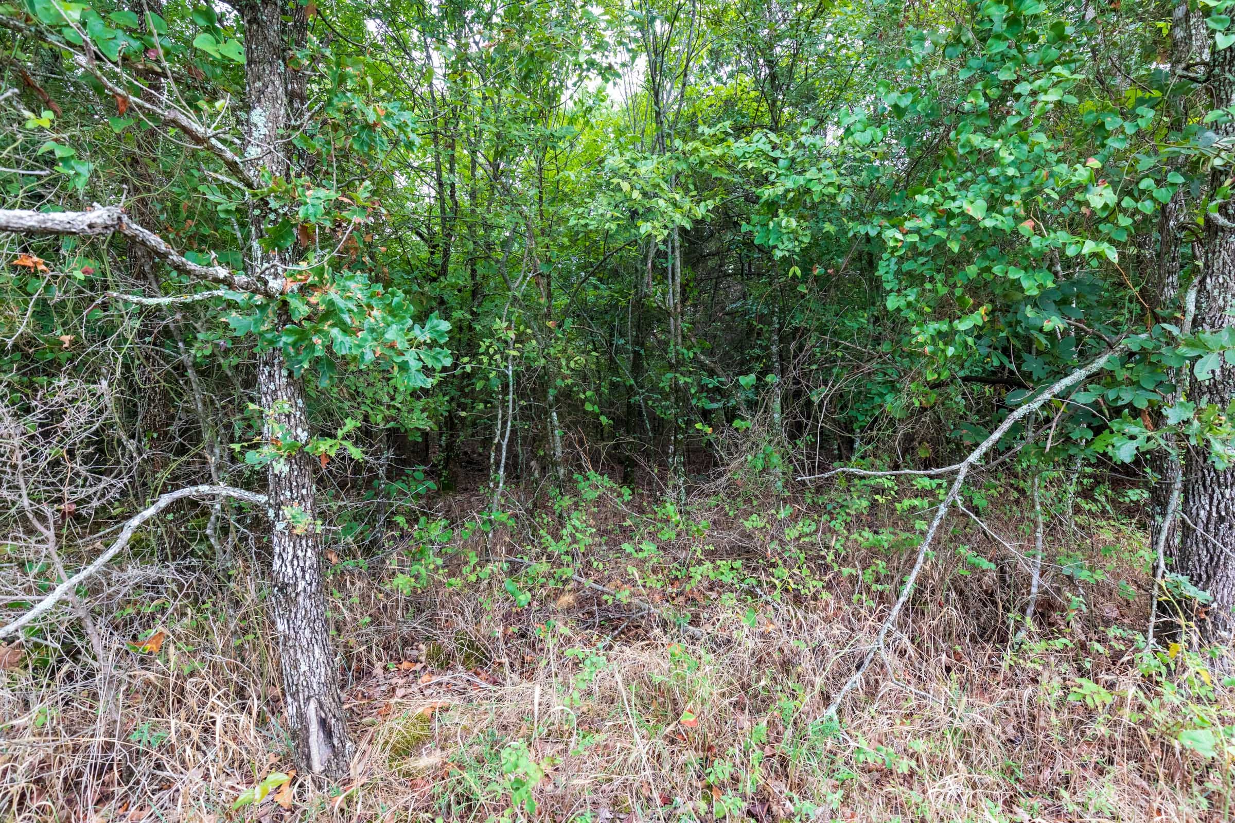 Heritage Bend Tract 6 photo 1