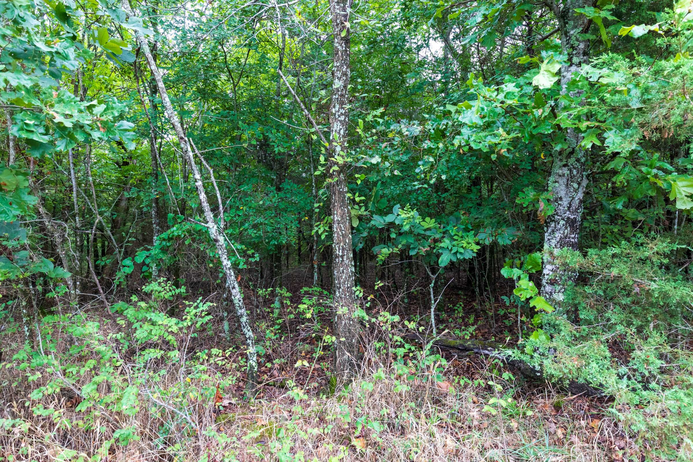 Heritage Bend Tract 6 photo 2