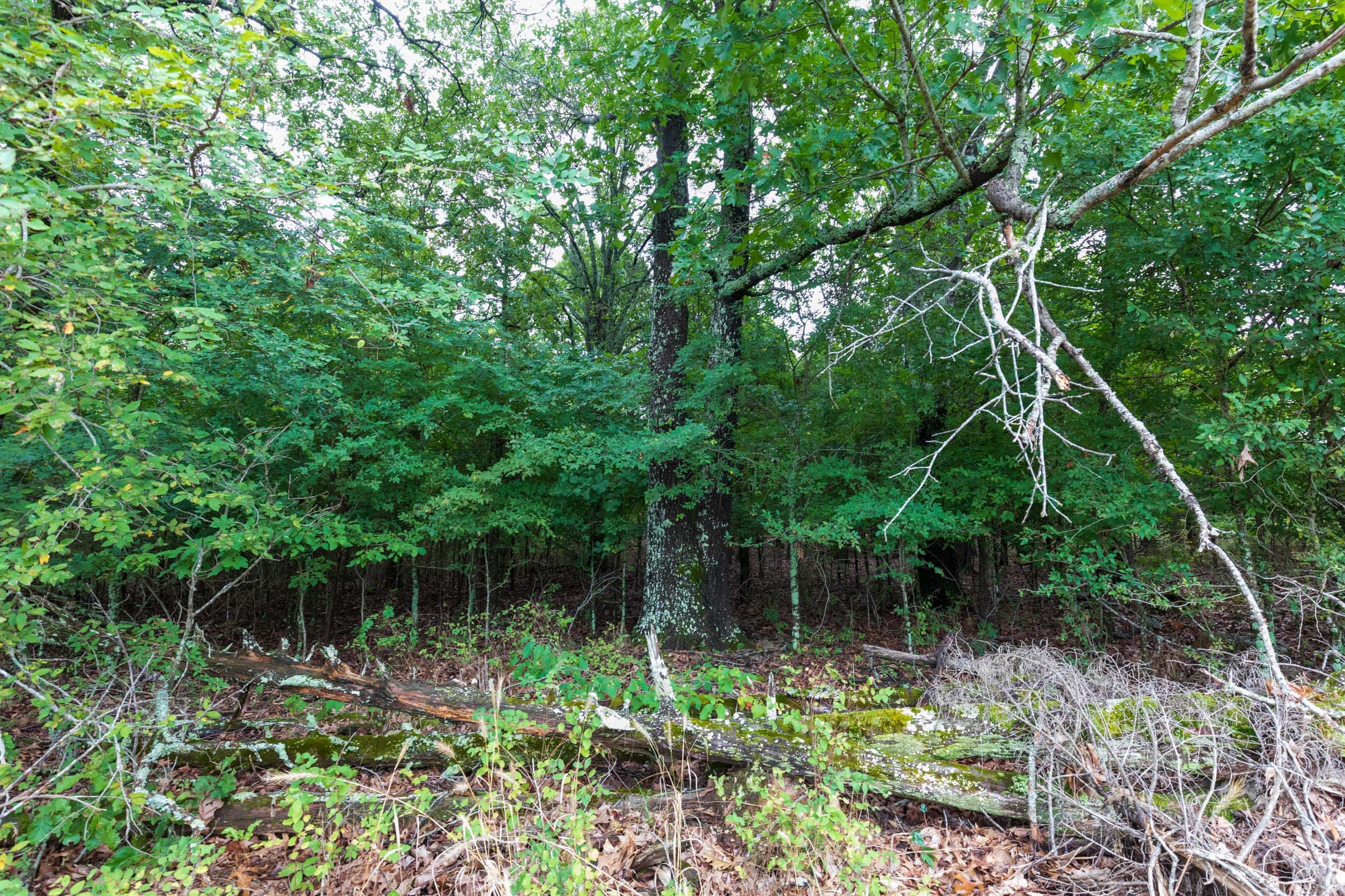 Heritage Bend Tract 6 photo 3