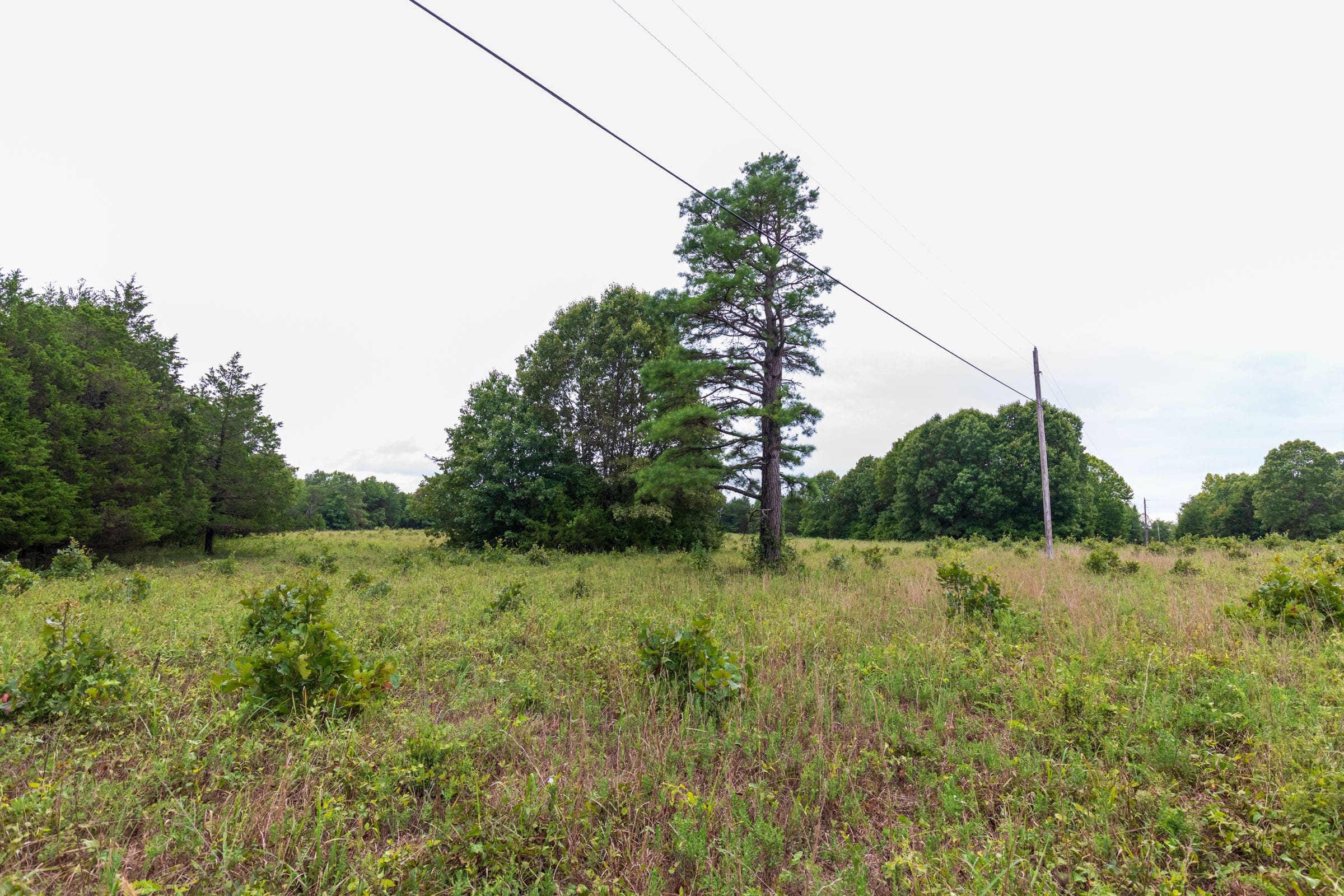 Heritage Bend Tract 6 photo 4