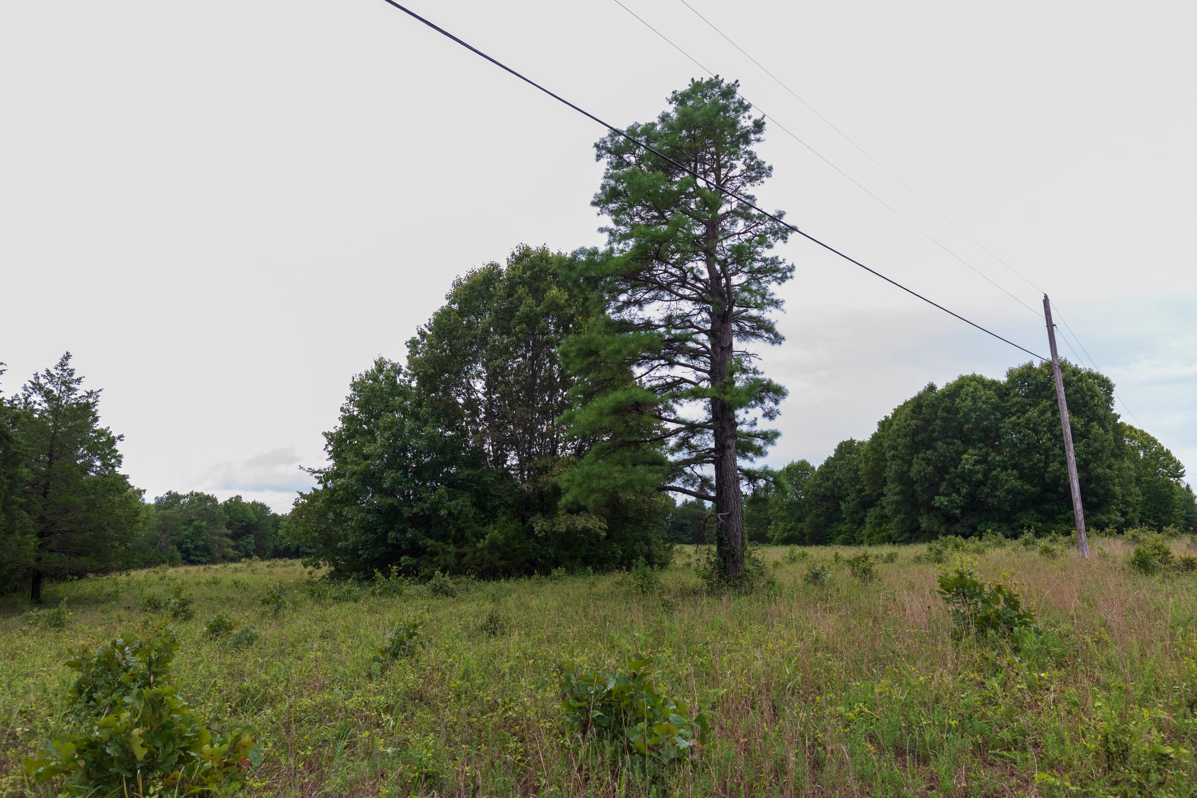 Heritage Bend Tract 6 photo 5