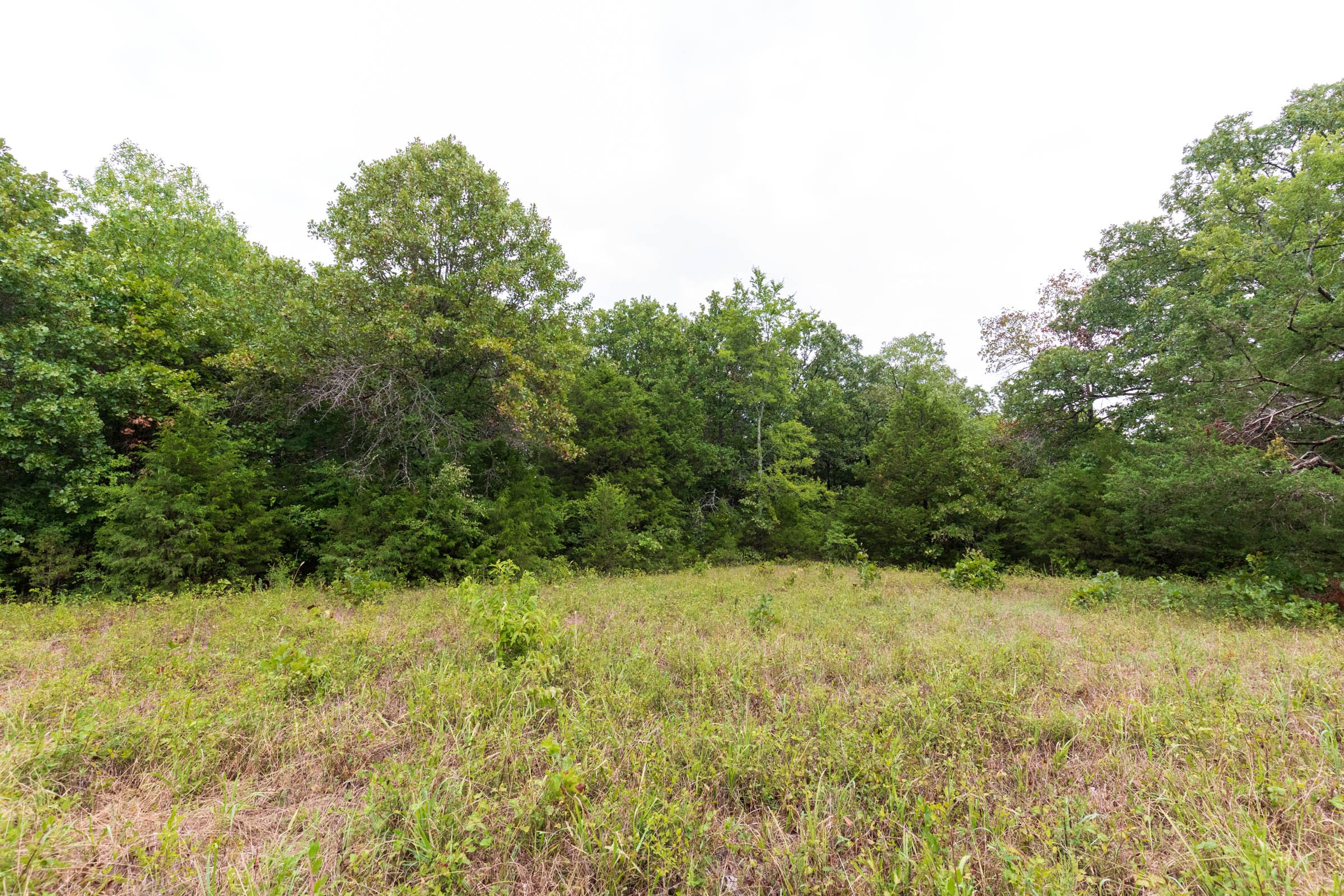 Heritage Bend Tract 6 photo 6