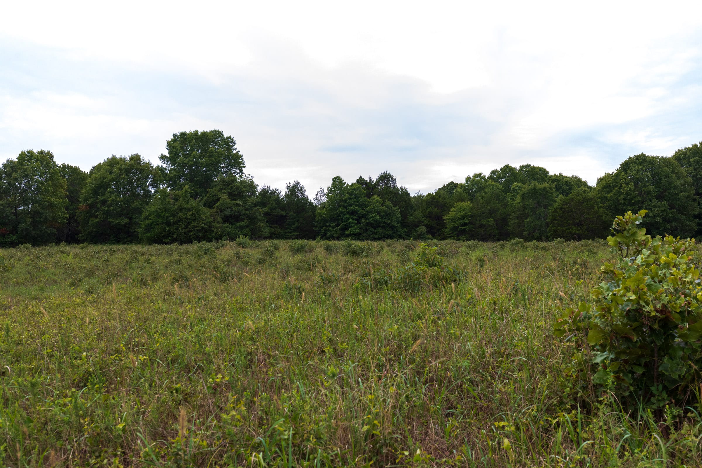 Heritage Bend Tract 6 photo 7