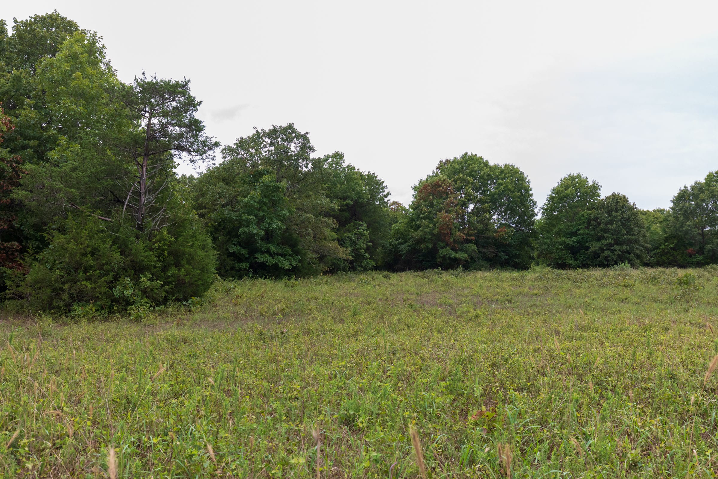 Heritage Bend Tract 6 photo 8