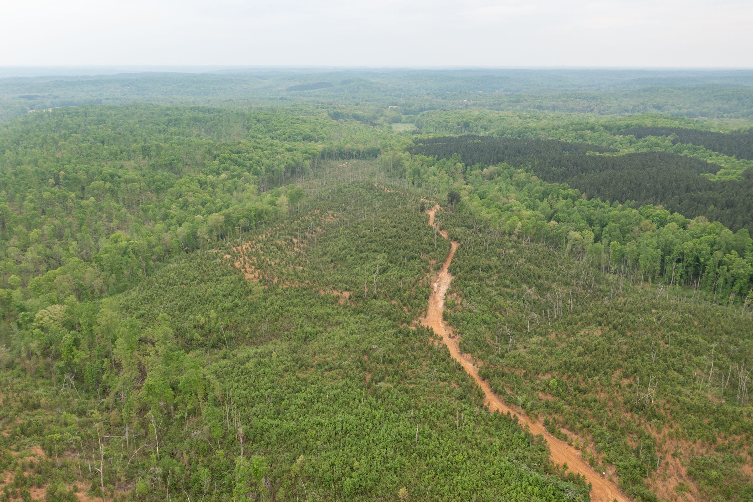 Red Barn Ranch Tract 45 photo 10