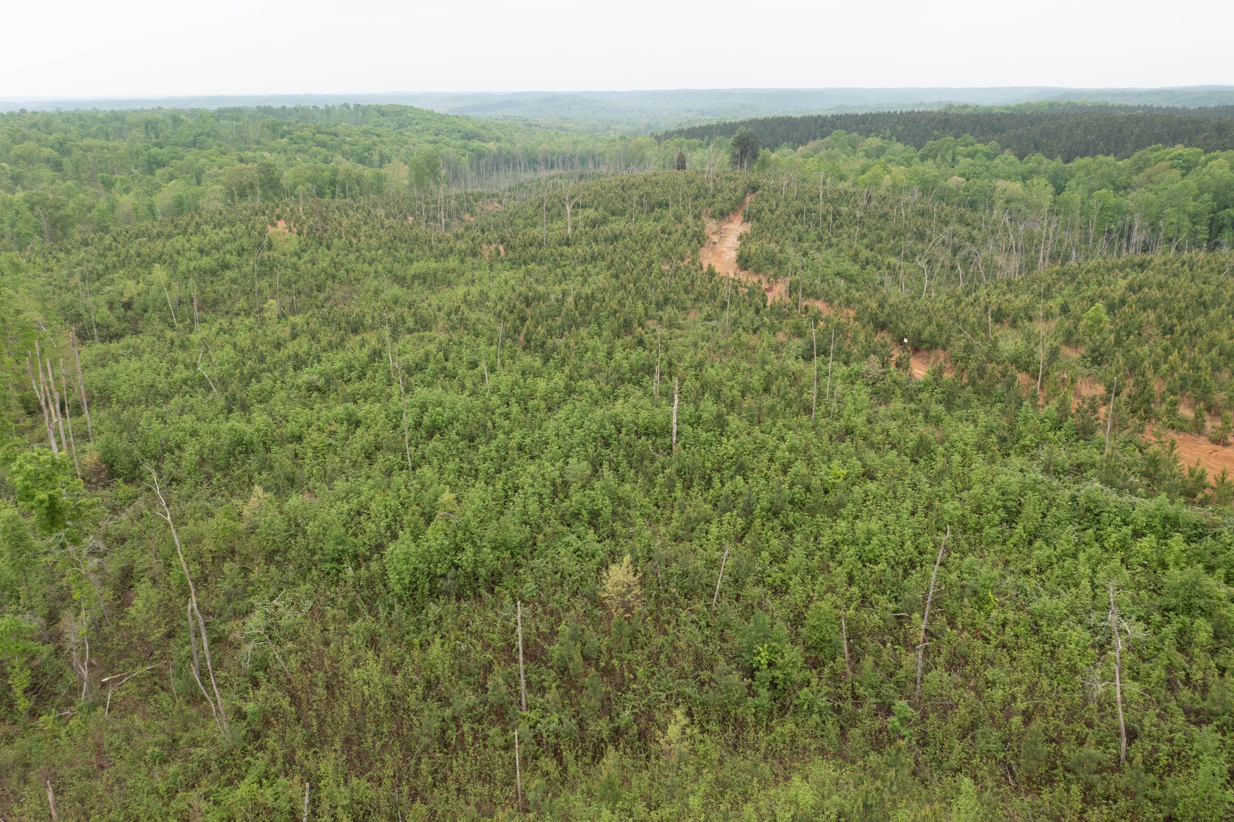 Red Barn Ranch Tract 45 photo 15