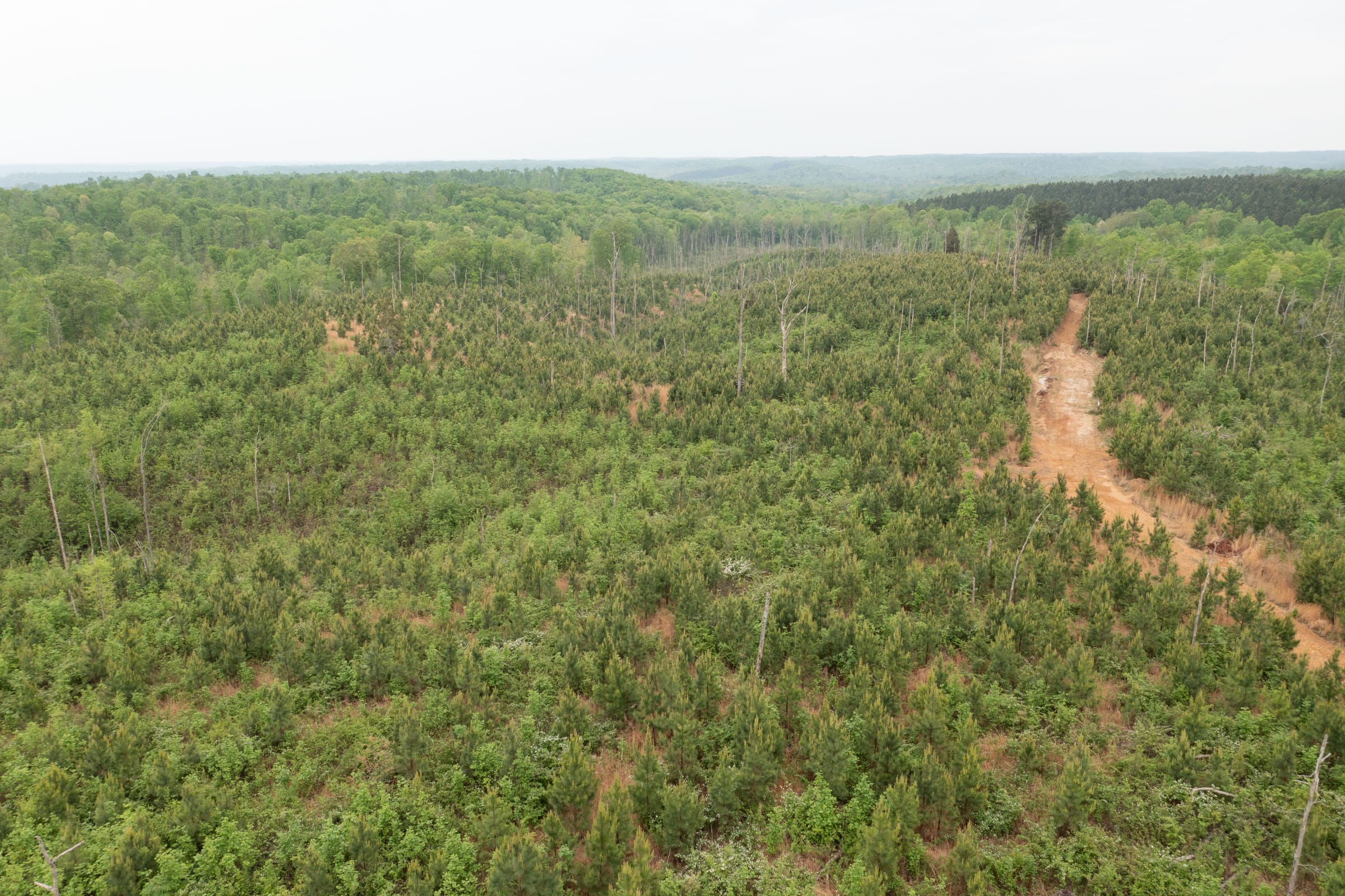 Red Barn Ranch Tract 45 photo 11