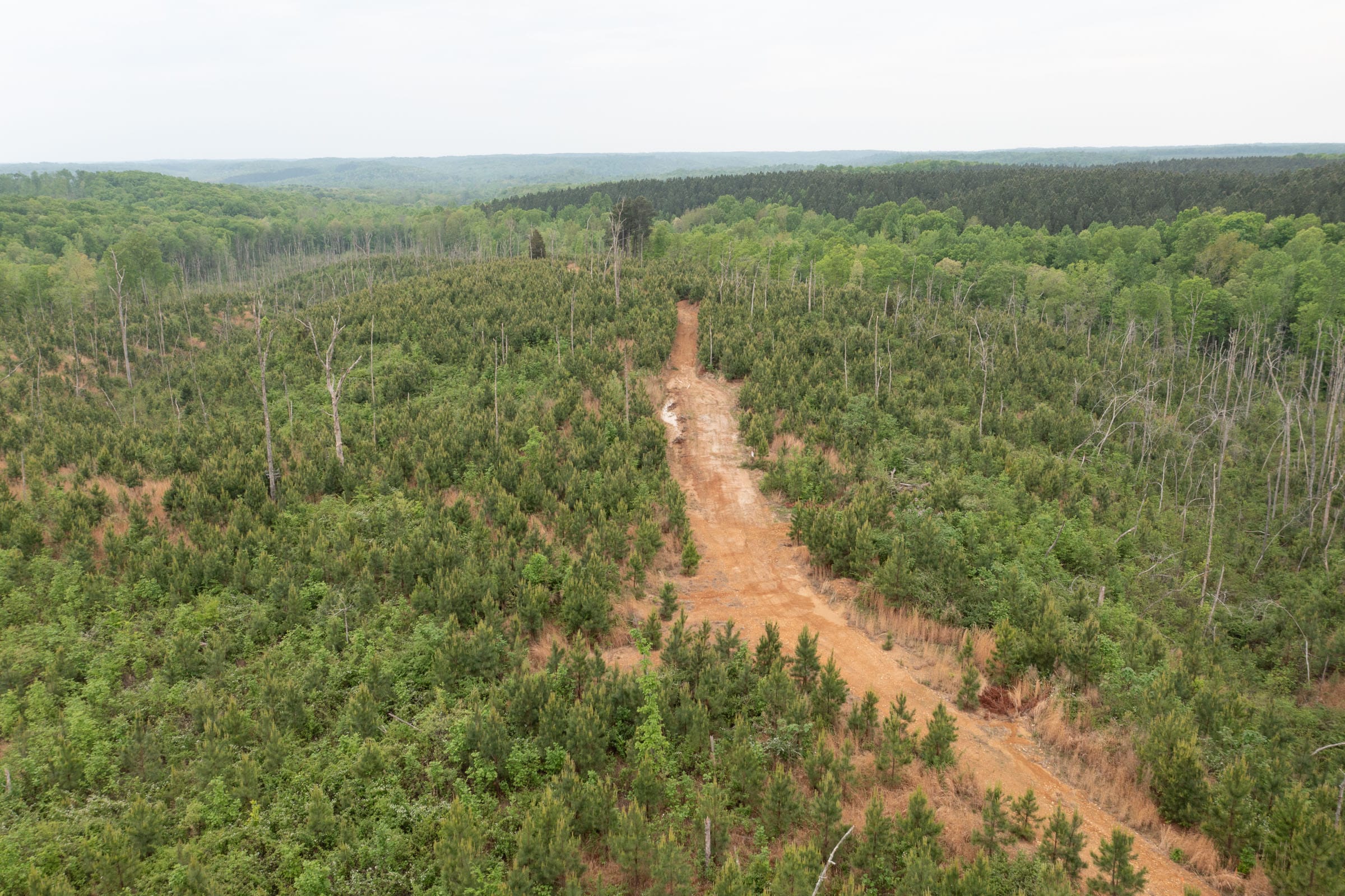 Red Barn Ranch Tract 45 photo 12